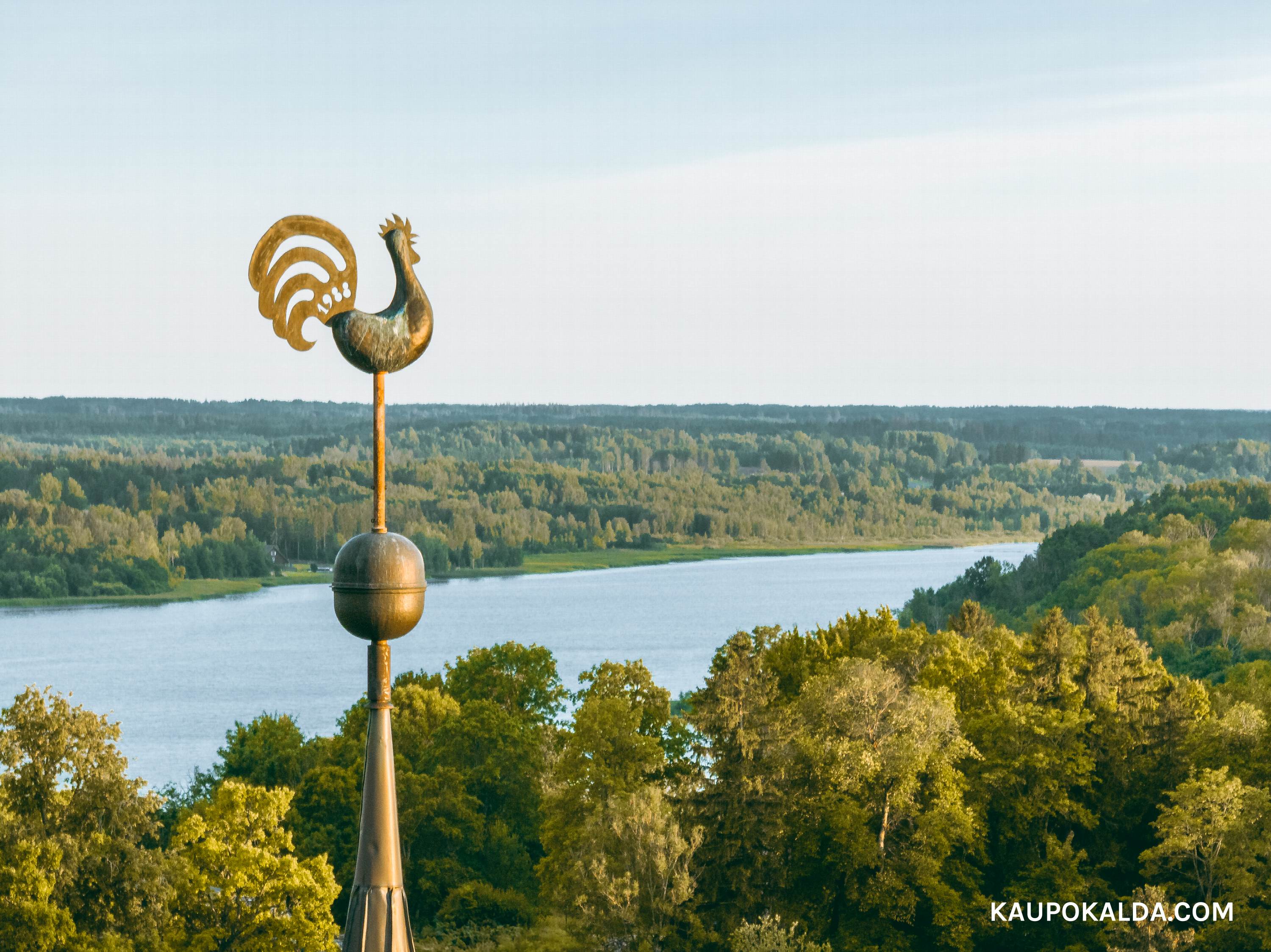 Viljandi Jaani kiriku kukk