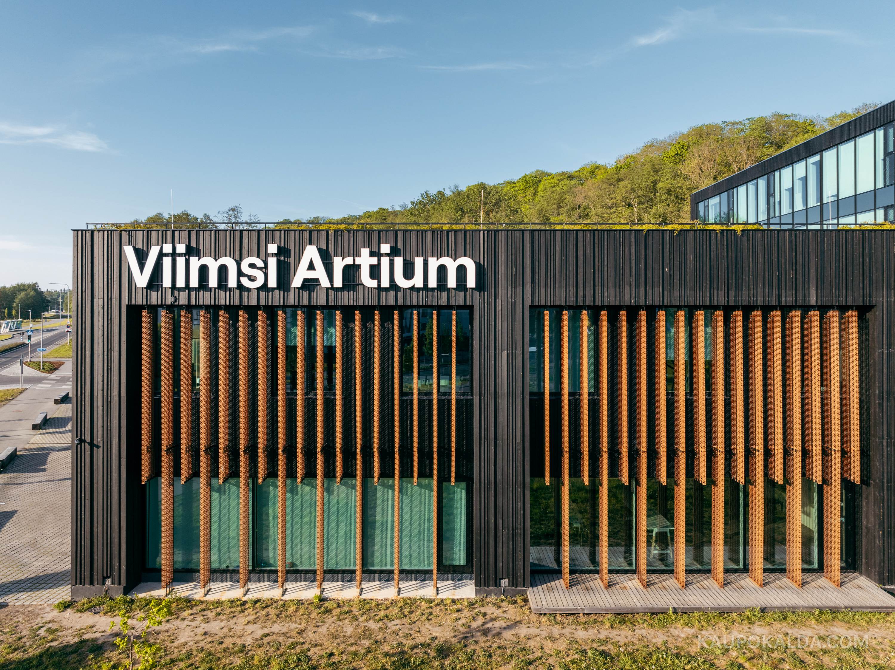 Viimsi Artium