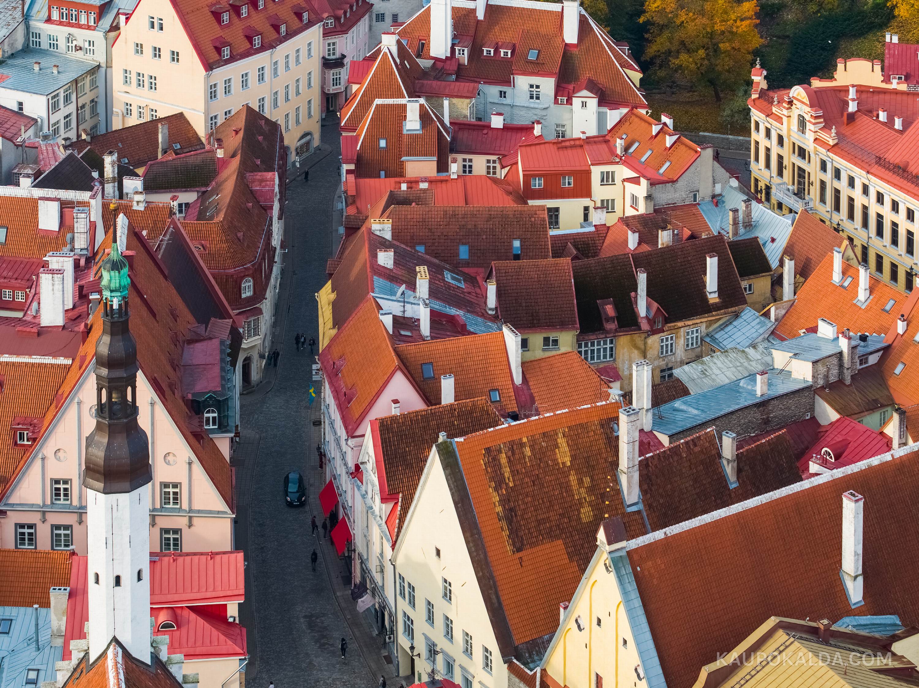 Kes kõndis katuseid mööda