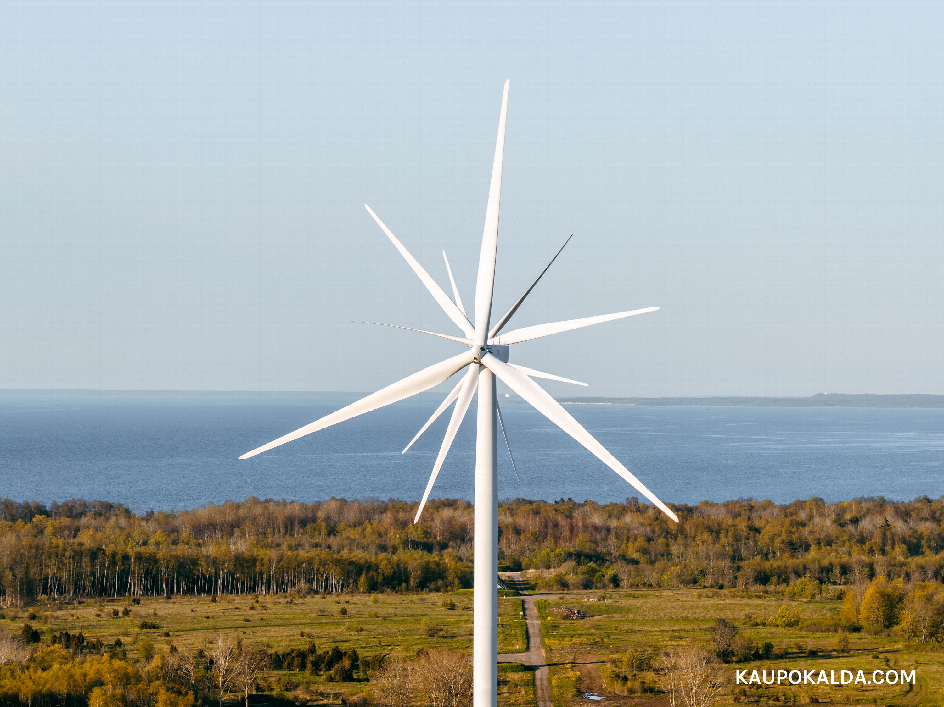 12-labaline tuulik Pakri poolsaarel
