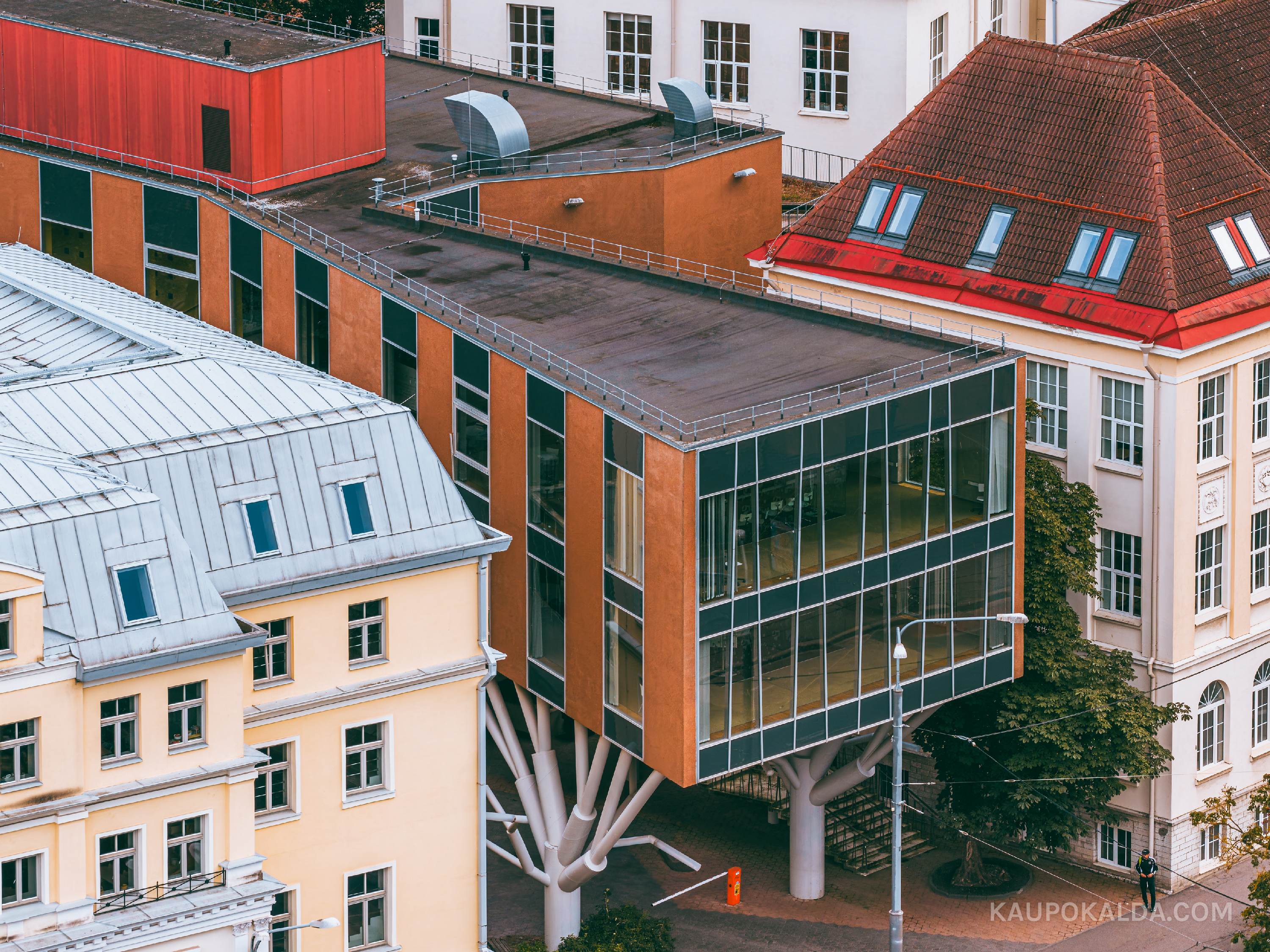 Inglise Kolledži spordihoone