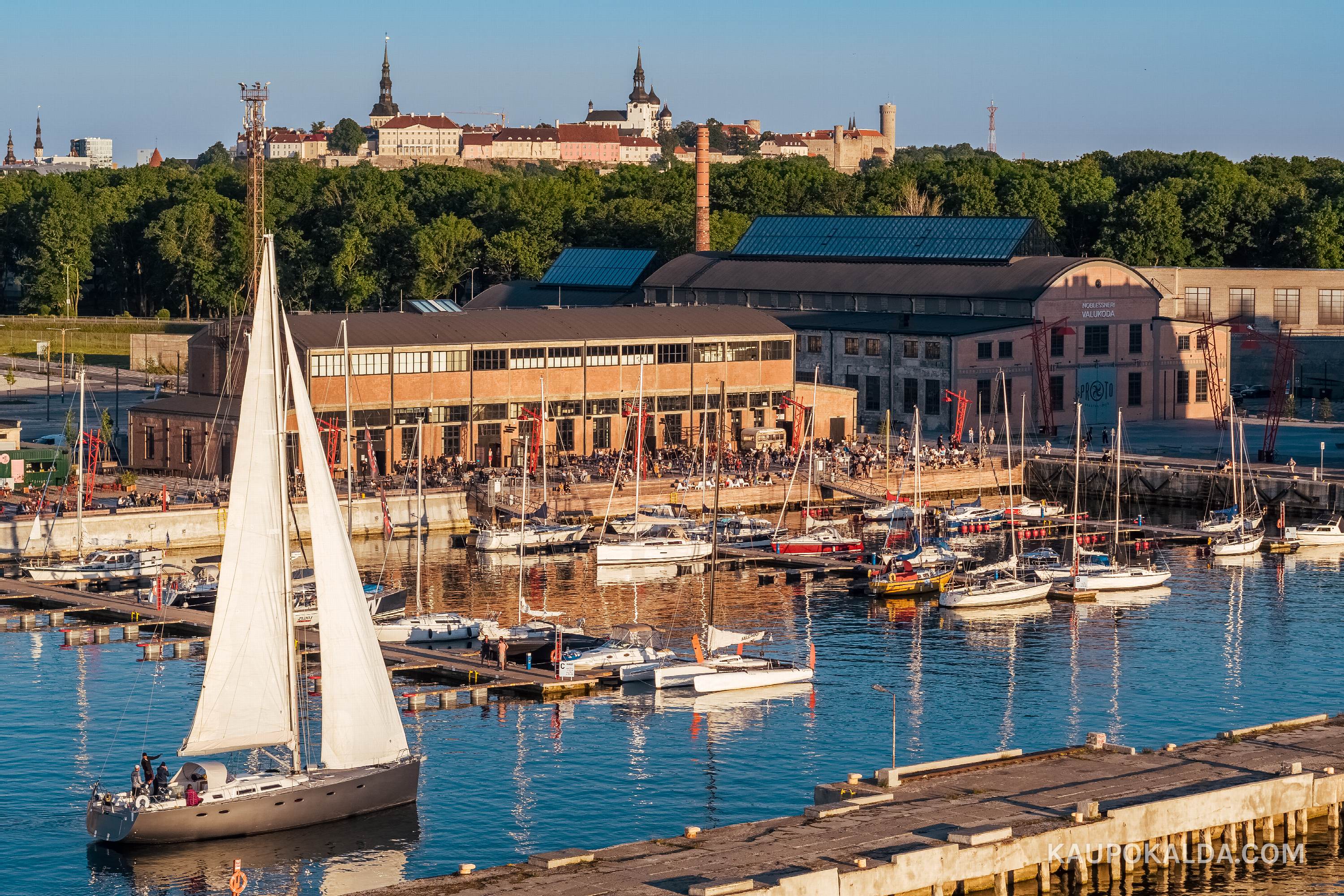 Suvi Noblessneris (seeria)