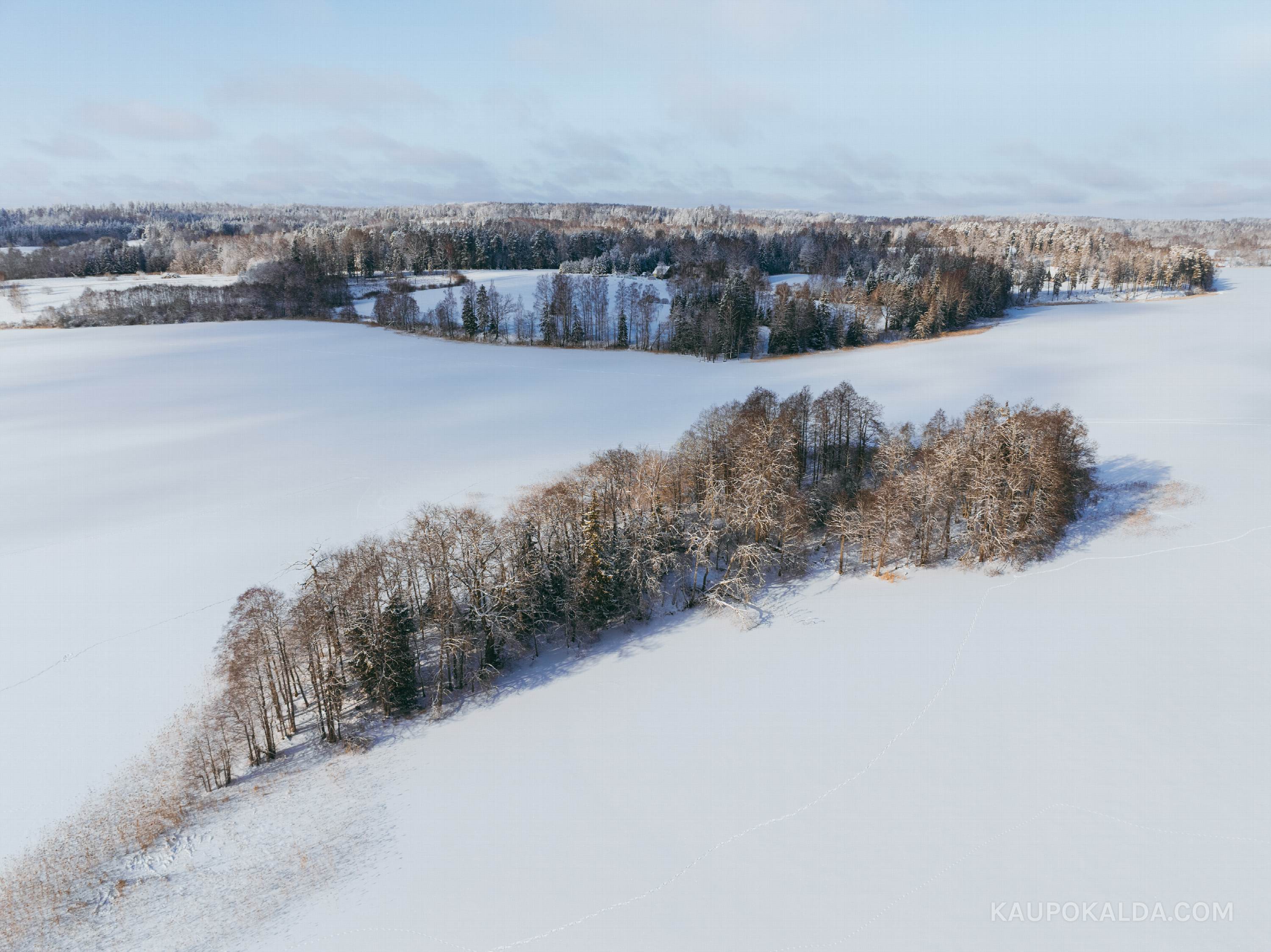 Talveunes Pühajärv