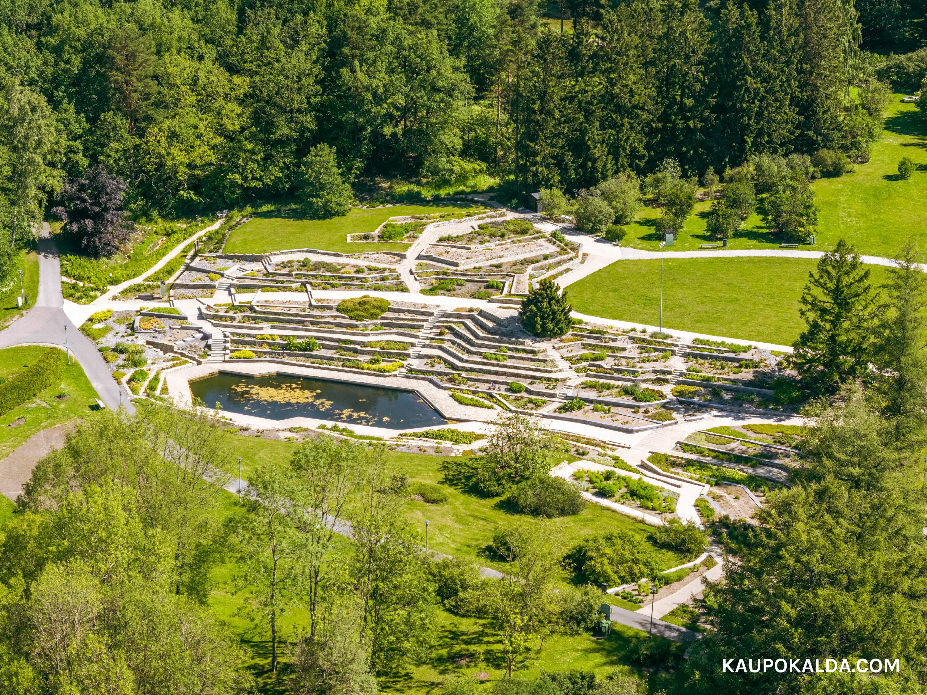 Tallinna Botaanikaaed