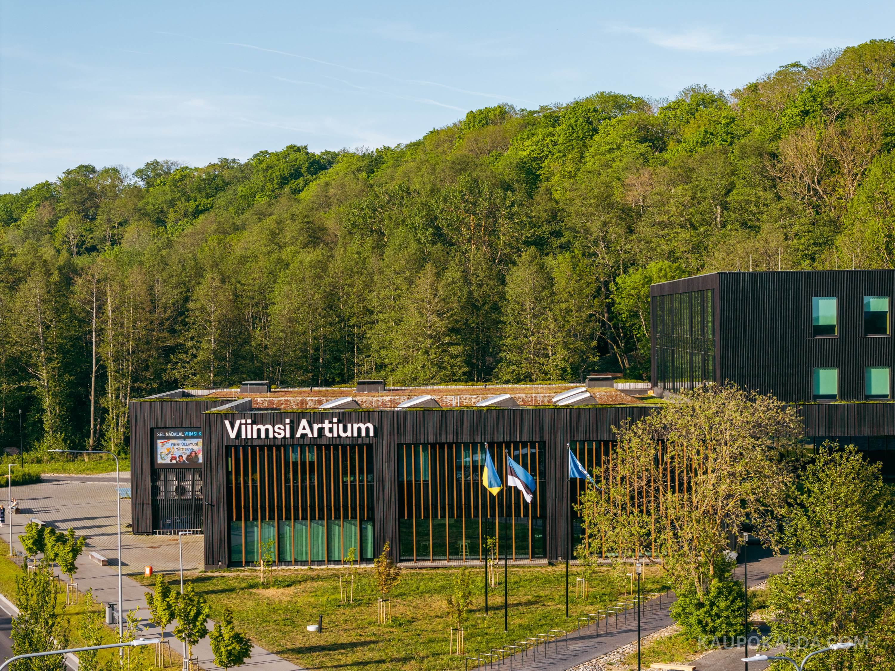 Viimsi Artium