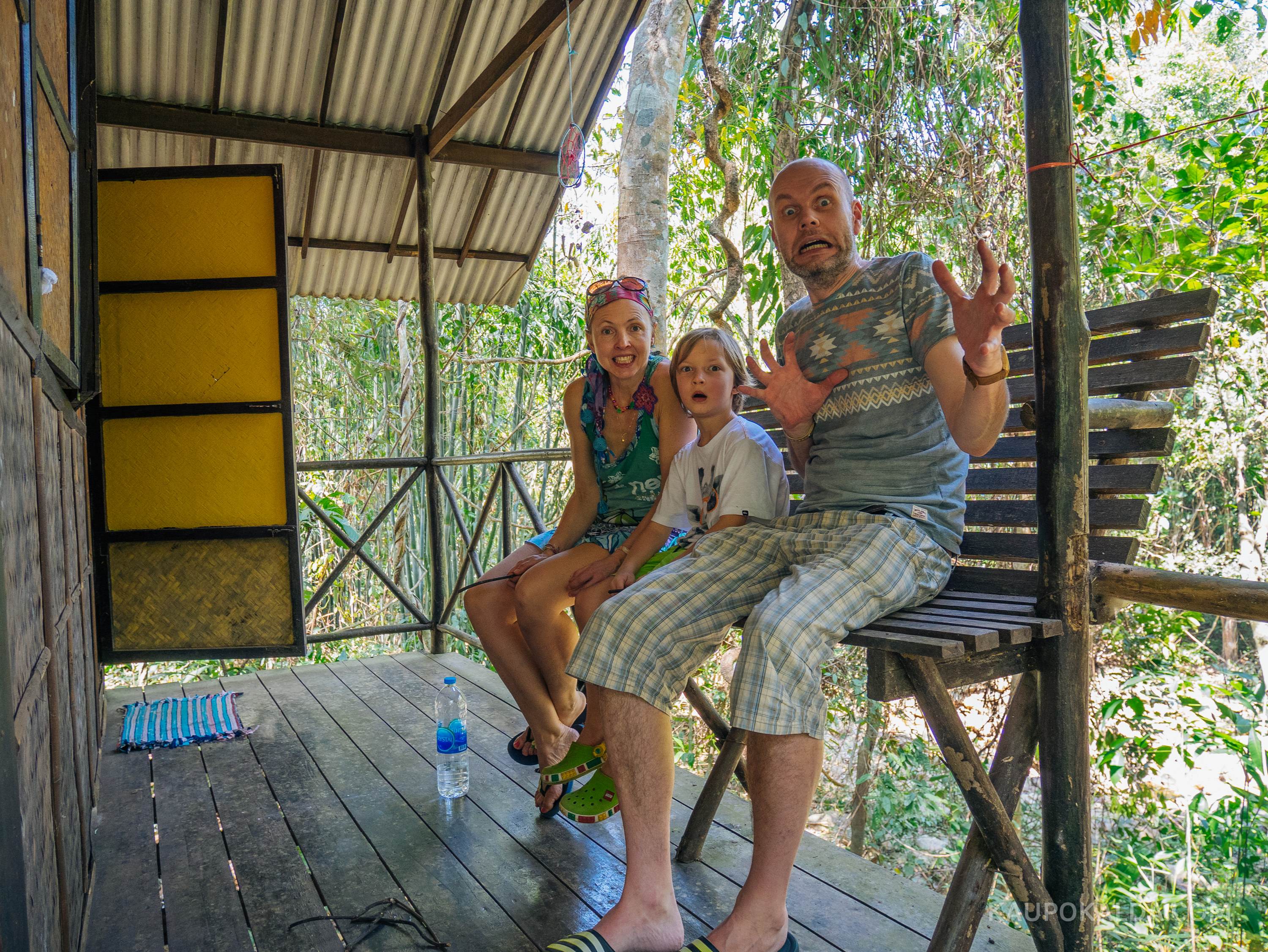 Jungle View Bungalows - esmareaktsioon on veidi ehmatav, siis hakkab meeldima