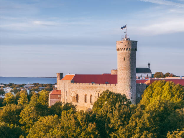 Pikk Hermann ja lehviv sinimustvalge