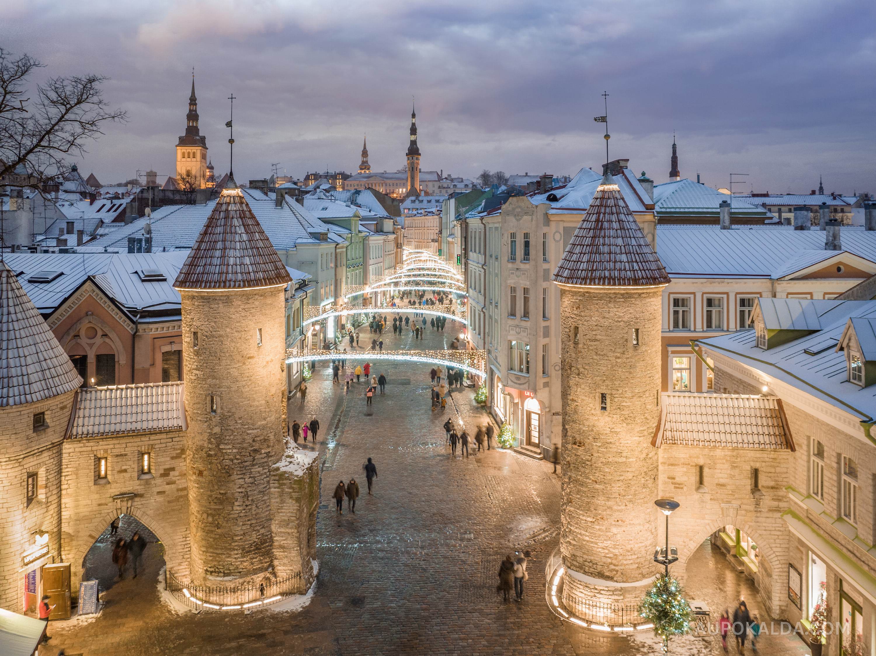 Puuderdatud pastellid