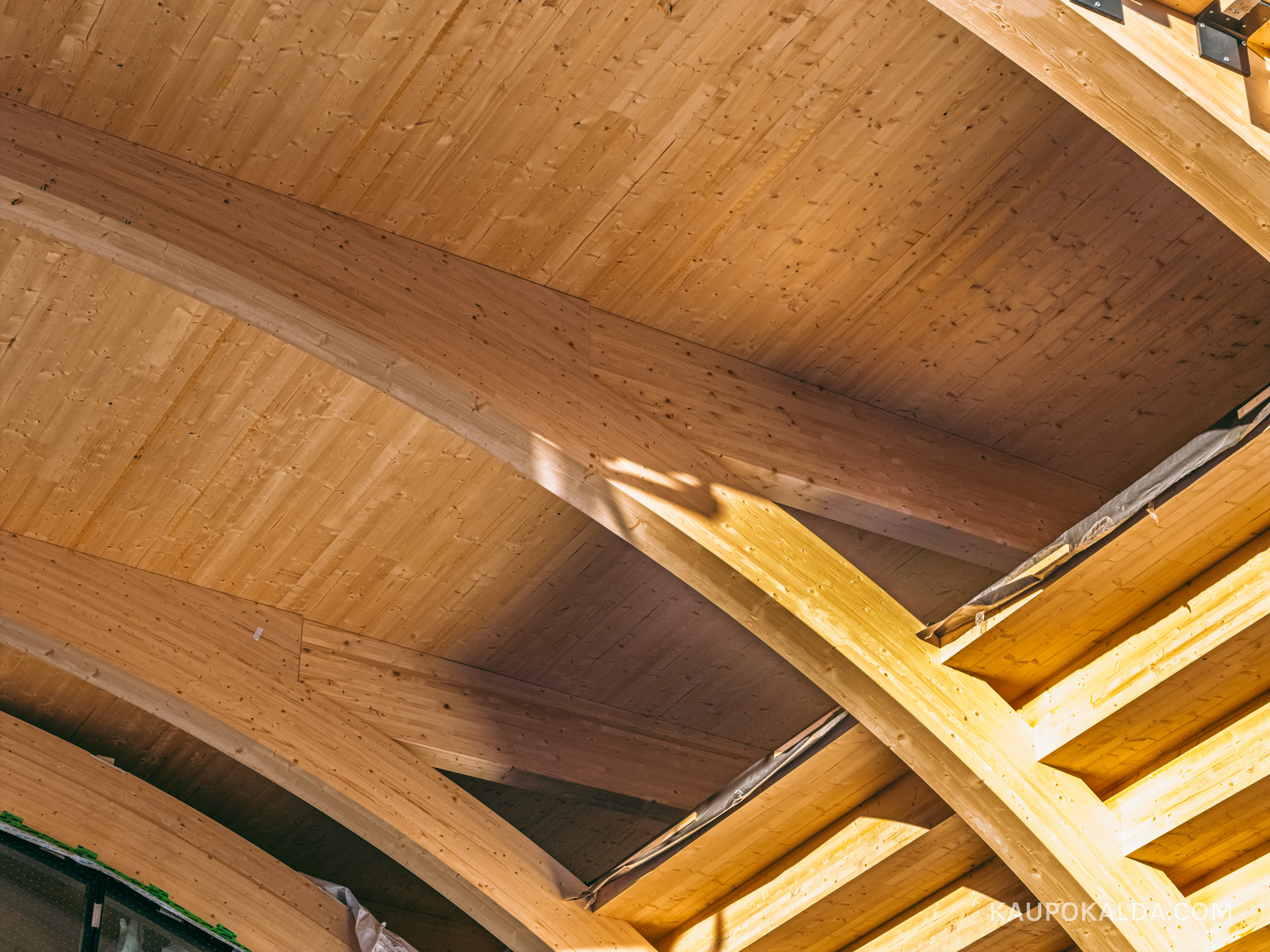 Loodusmaja ehitus, 2025.3