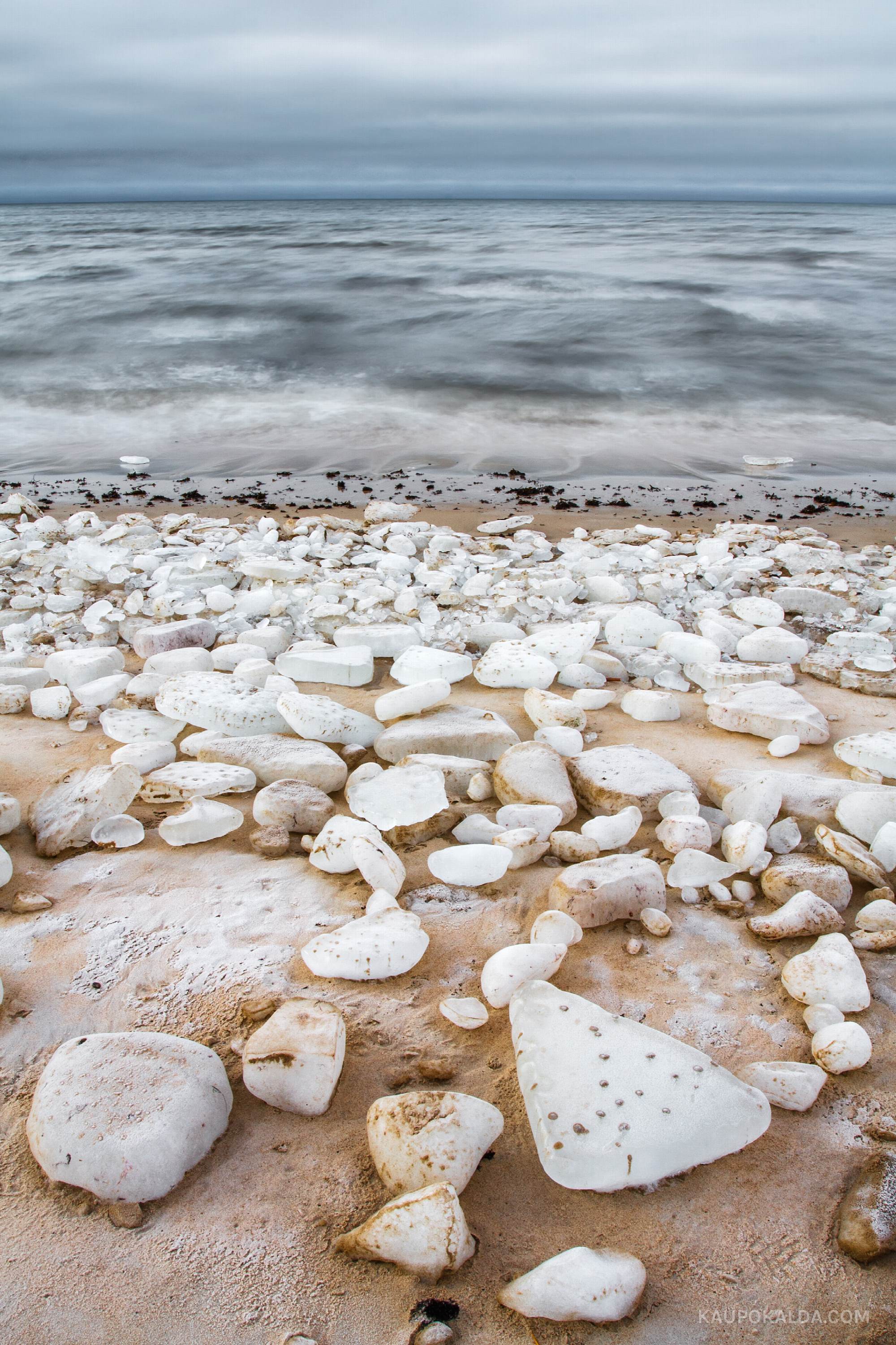 Teemandid, Kloogaranna