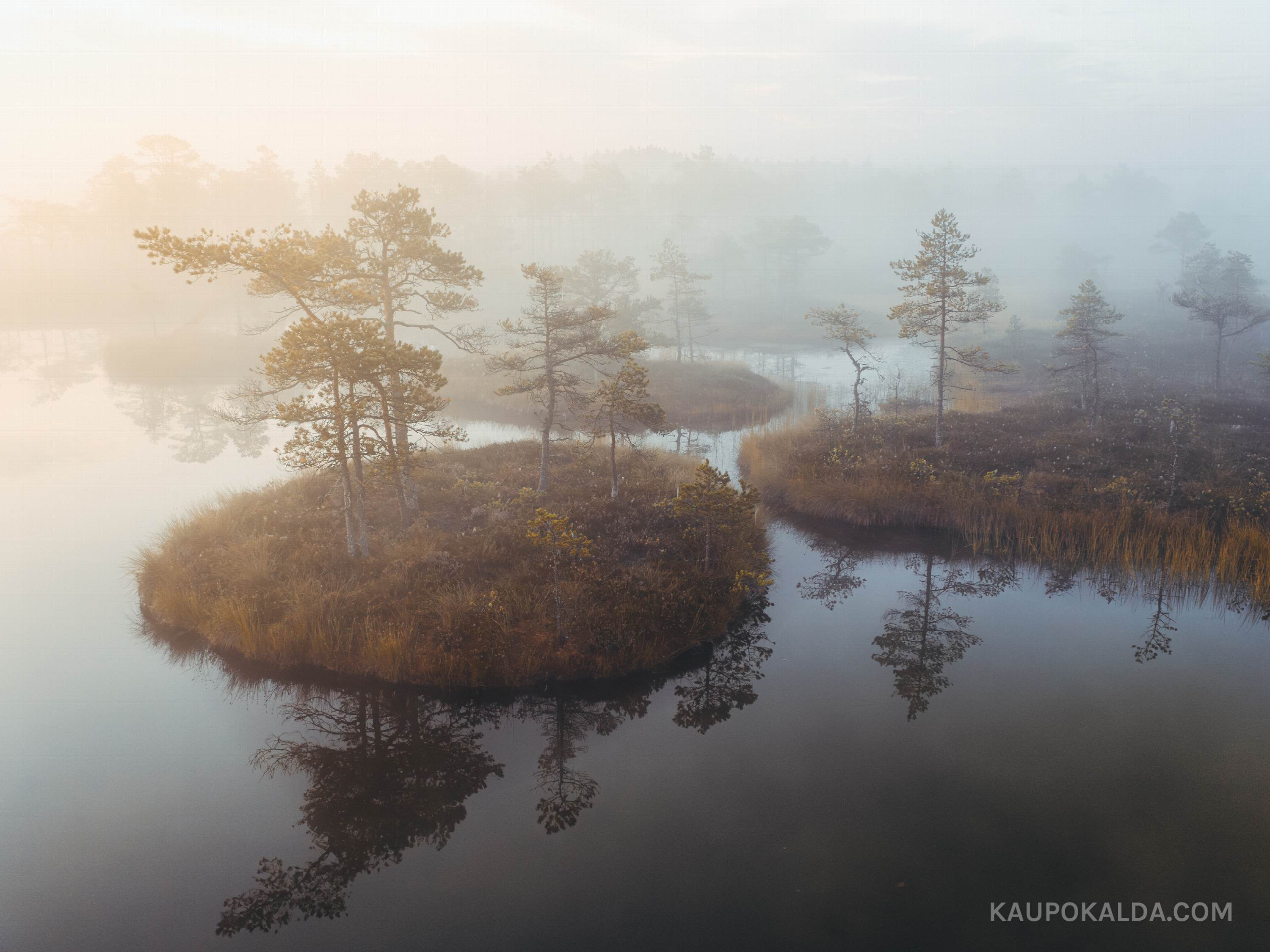 Udune päikesetõus Kakerdaja rabas