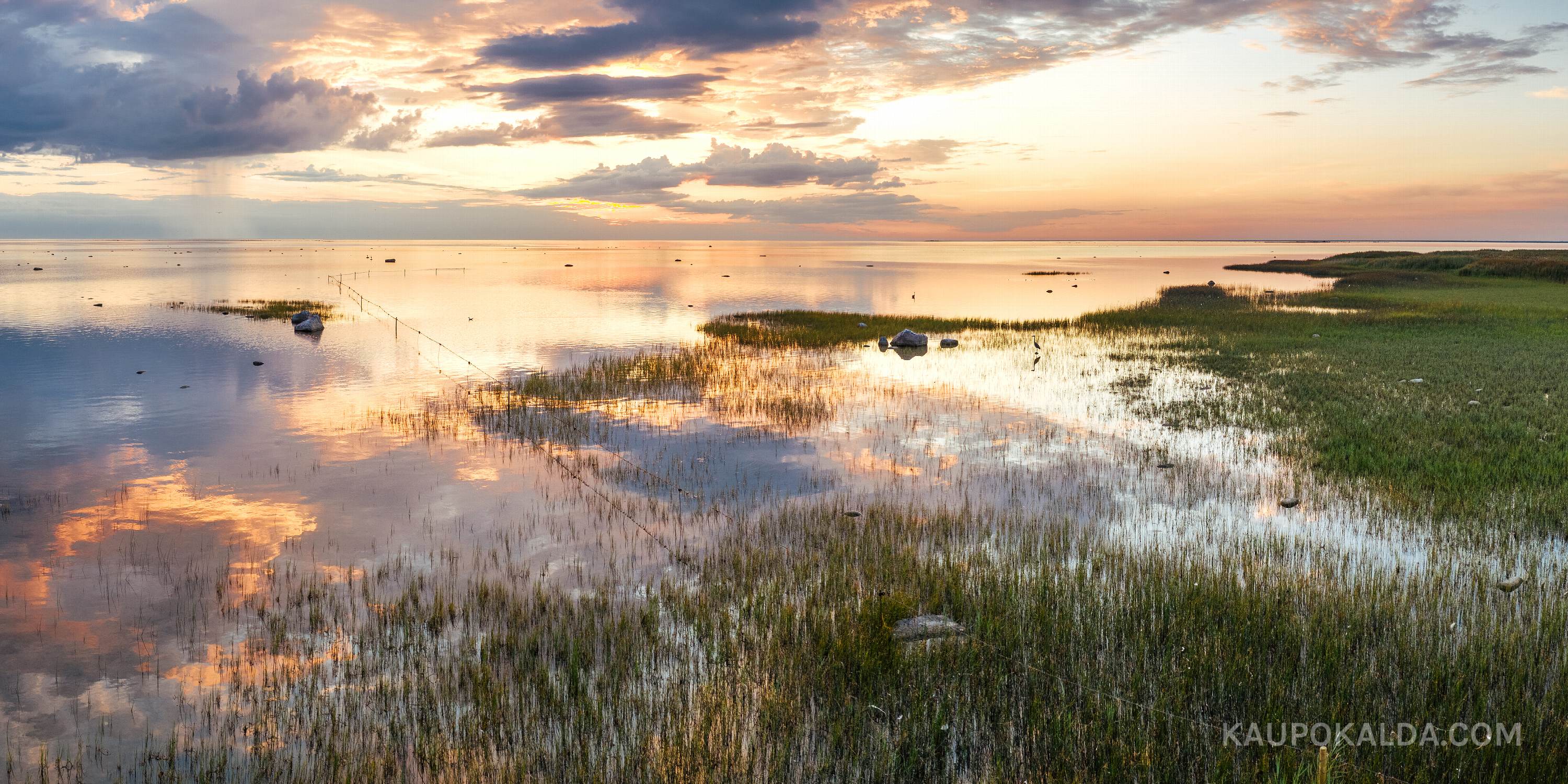 Haigrud õhtuses Kihnu rannavees