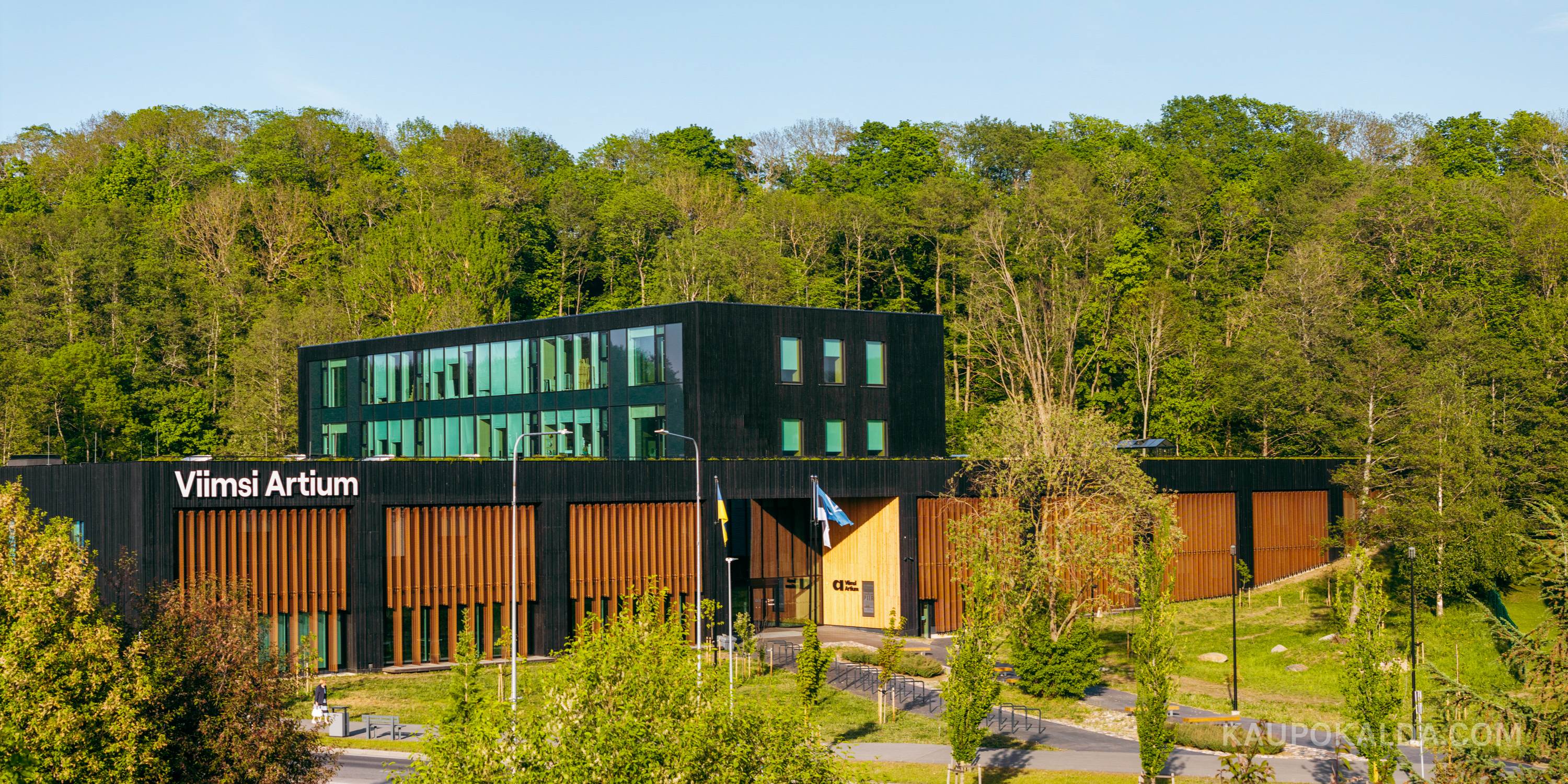 Viimsi Artium (seeria)