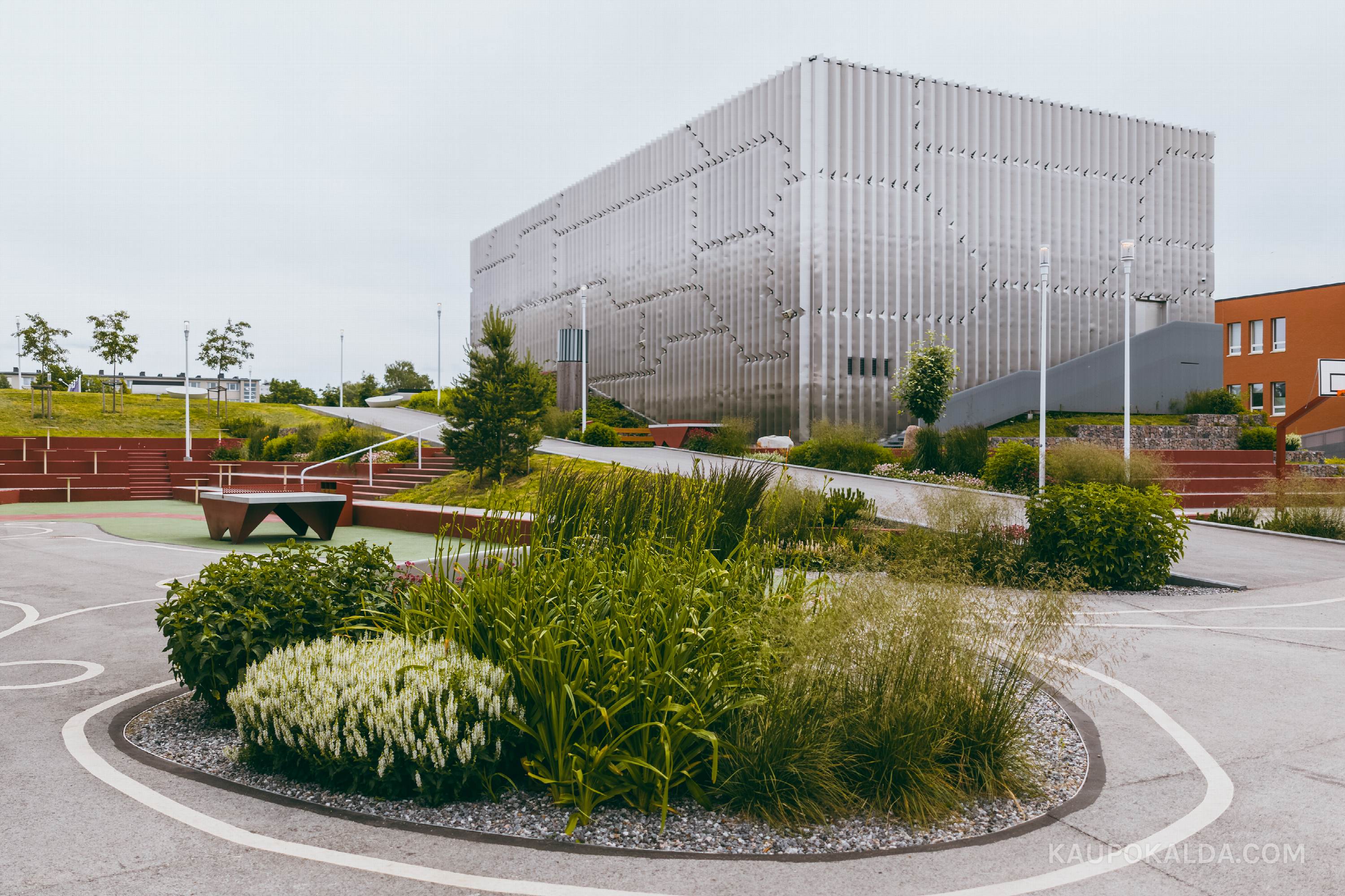 Mustamäe Riigigümnaasium