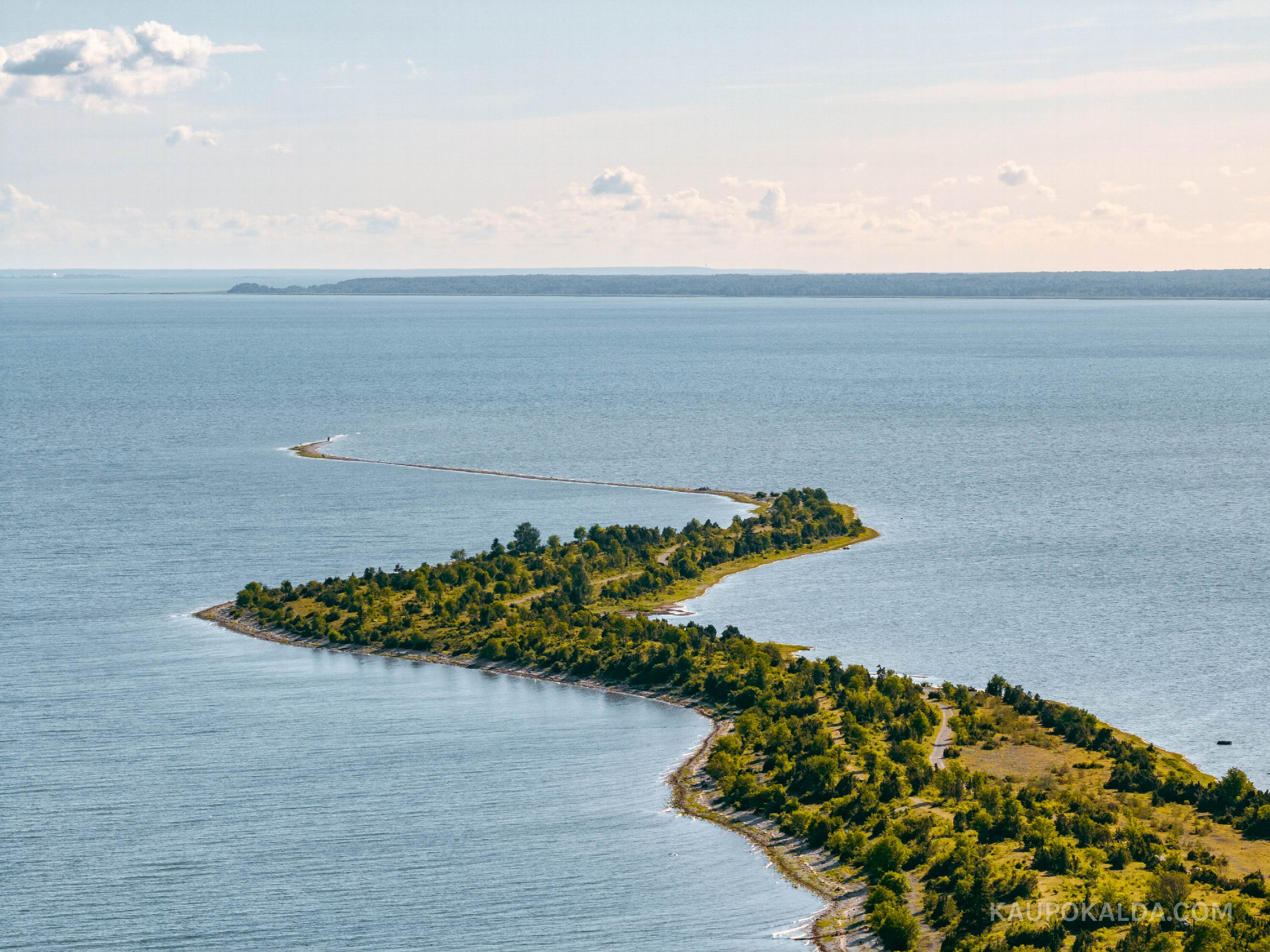 Külalised tipus, Sääretirp