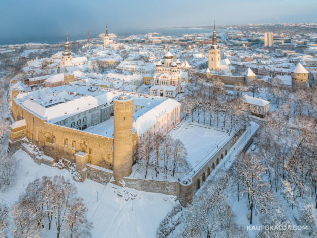 Talv tuli Tallinna