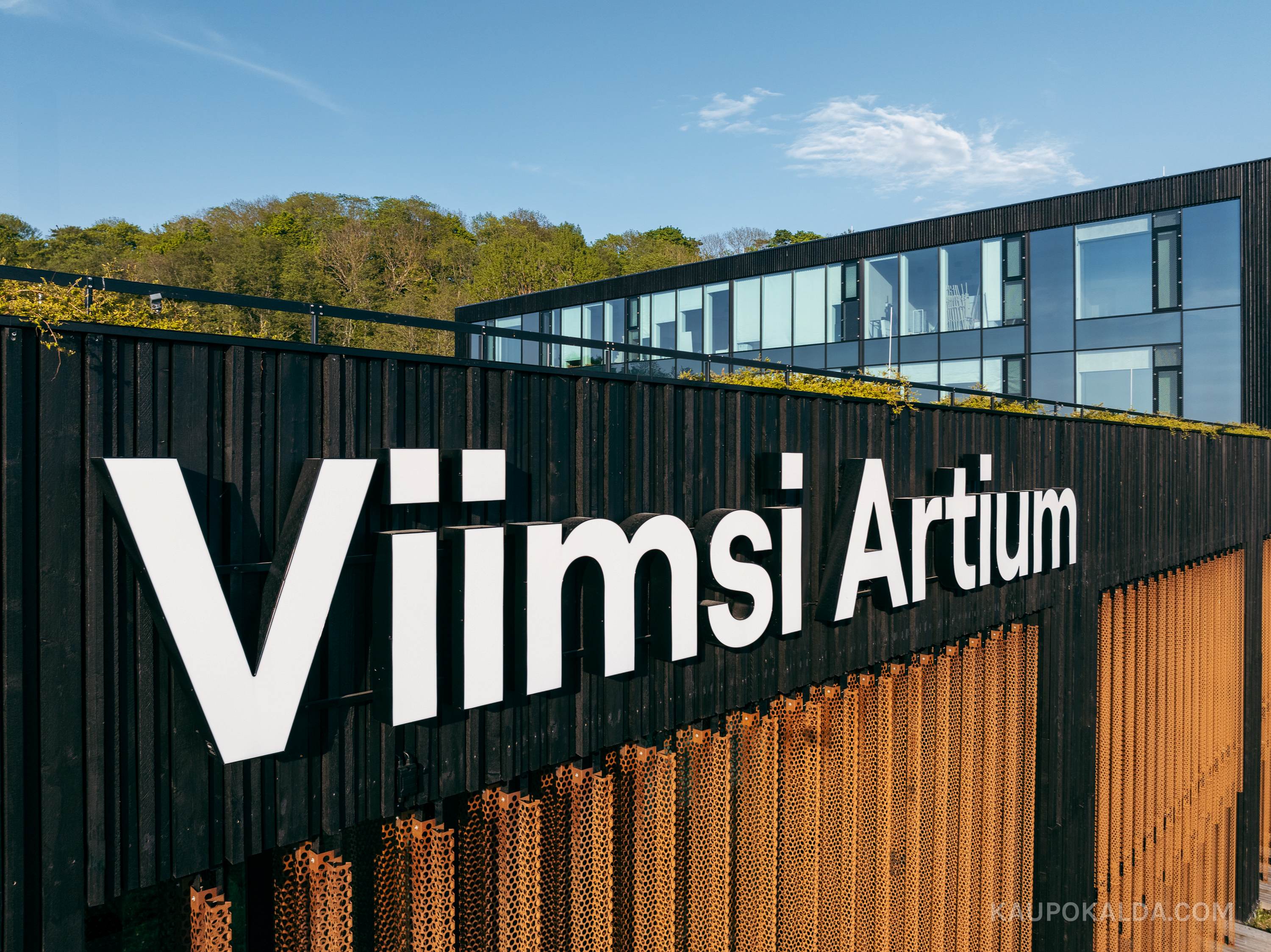 Viimsi Artium