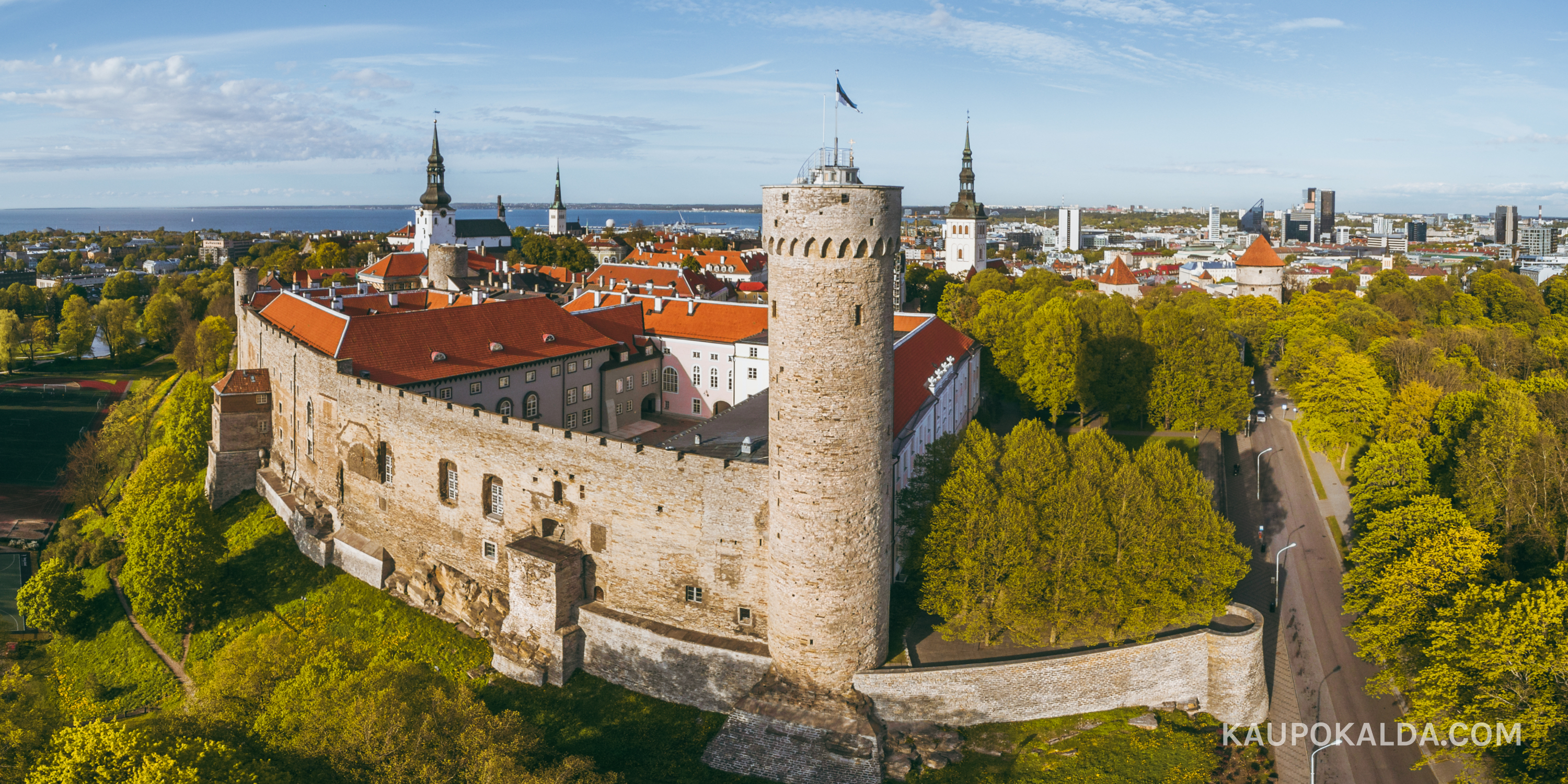 Pikk Hermann ja Toompea loss