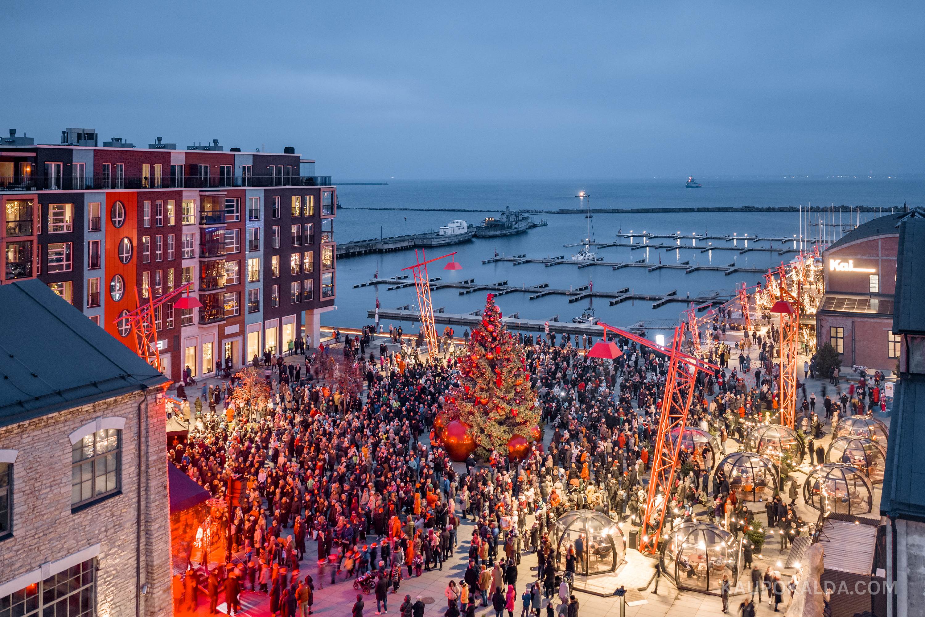 Jõulud Noblessneris, 2025