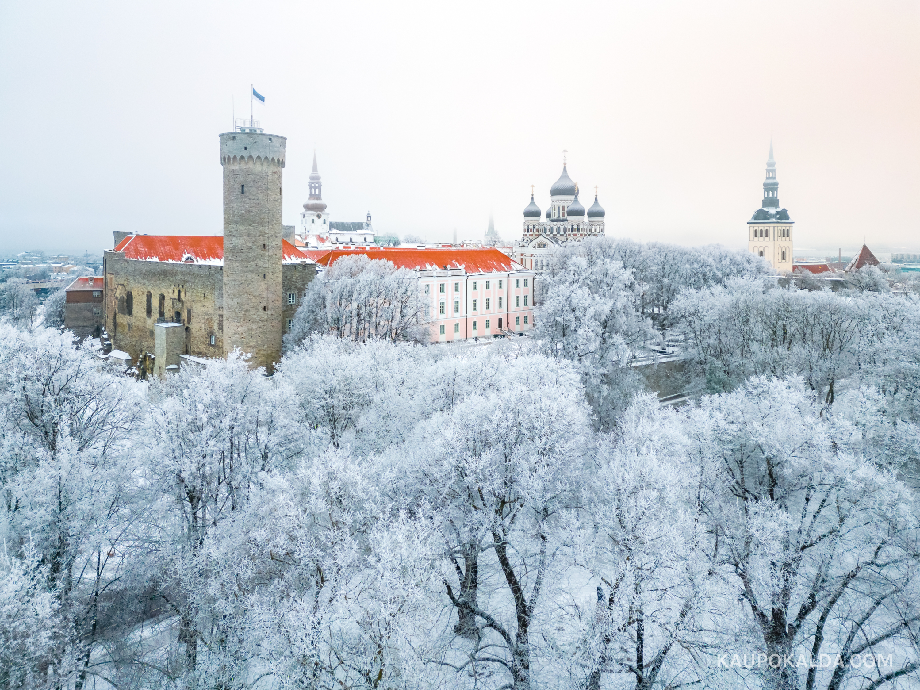 Talvine Hirvepark ja Toompea