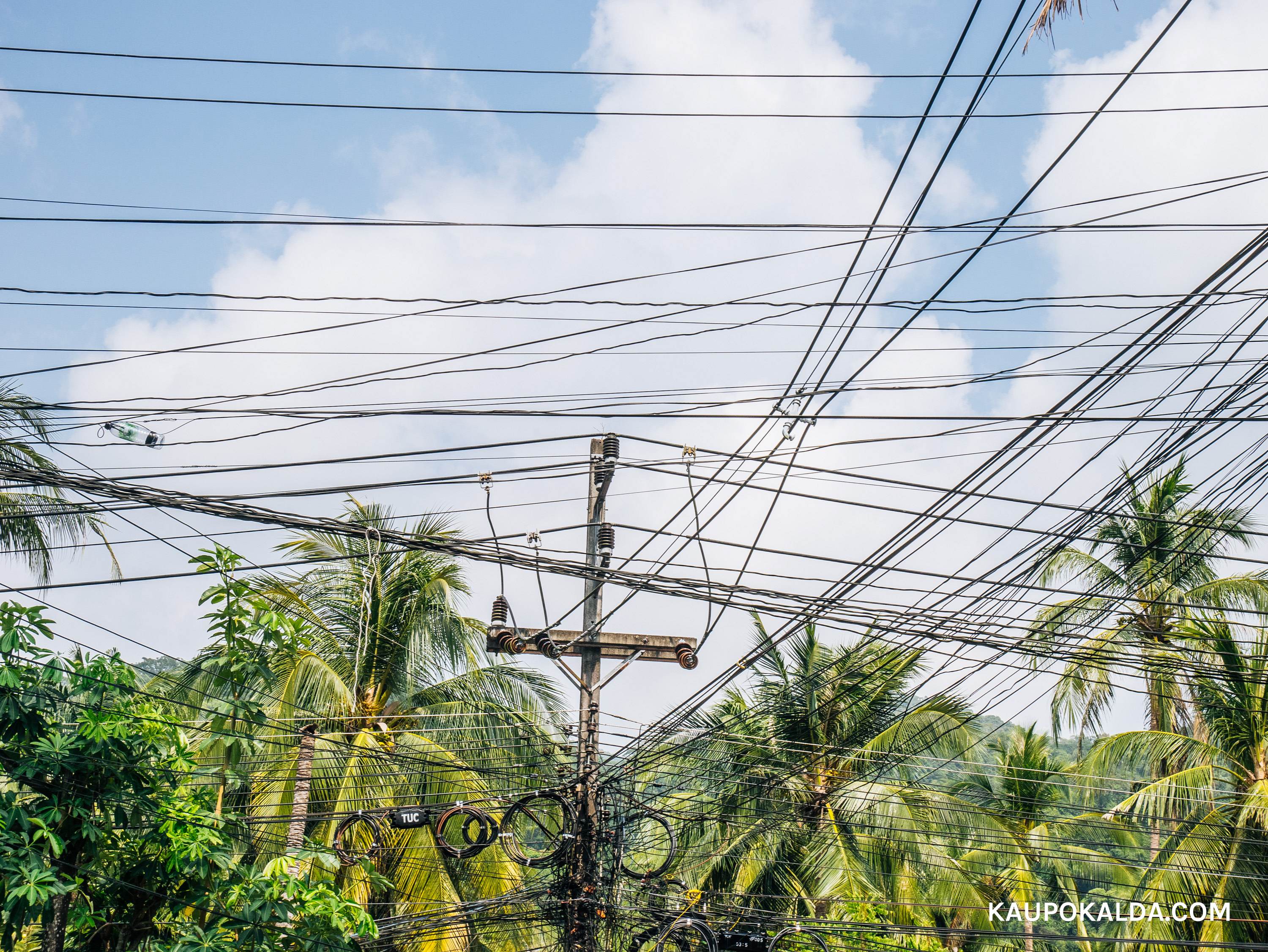 Droonilennutaja õudusunenägu