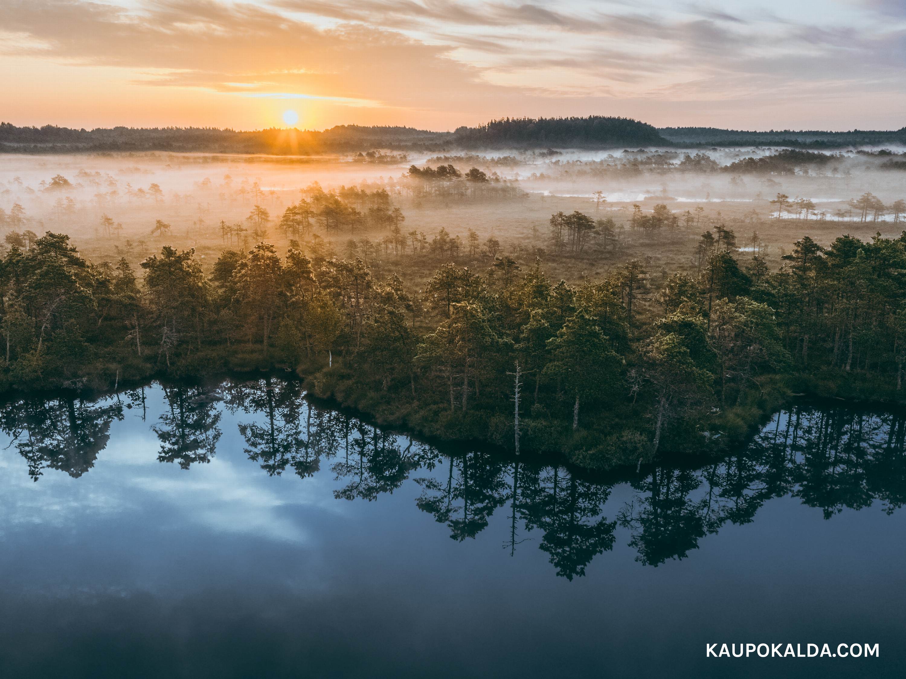 Päikesetõus Kakerdaja rabas
