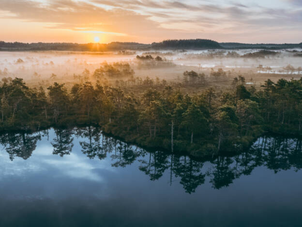 Päikesetõus Kakerdaja rabas