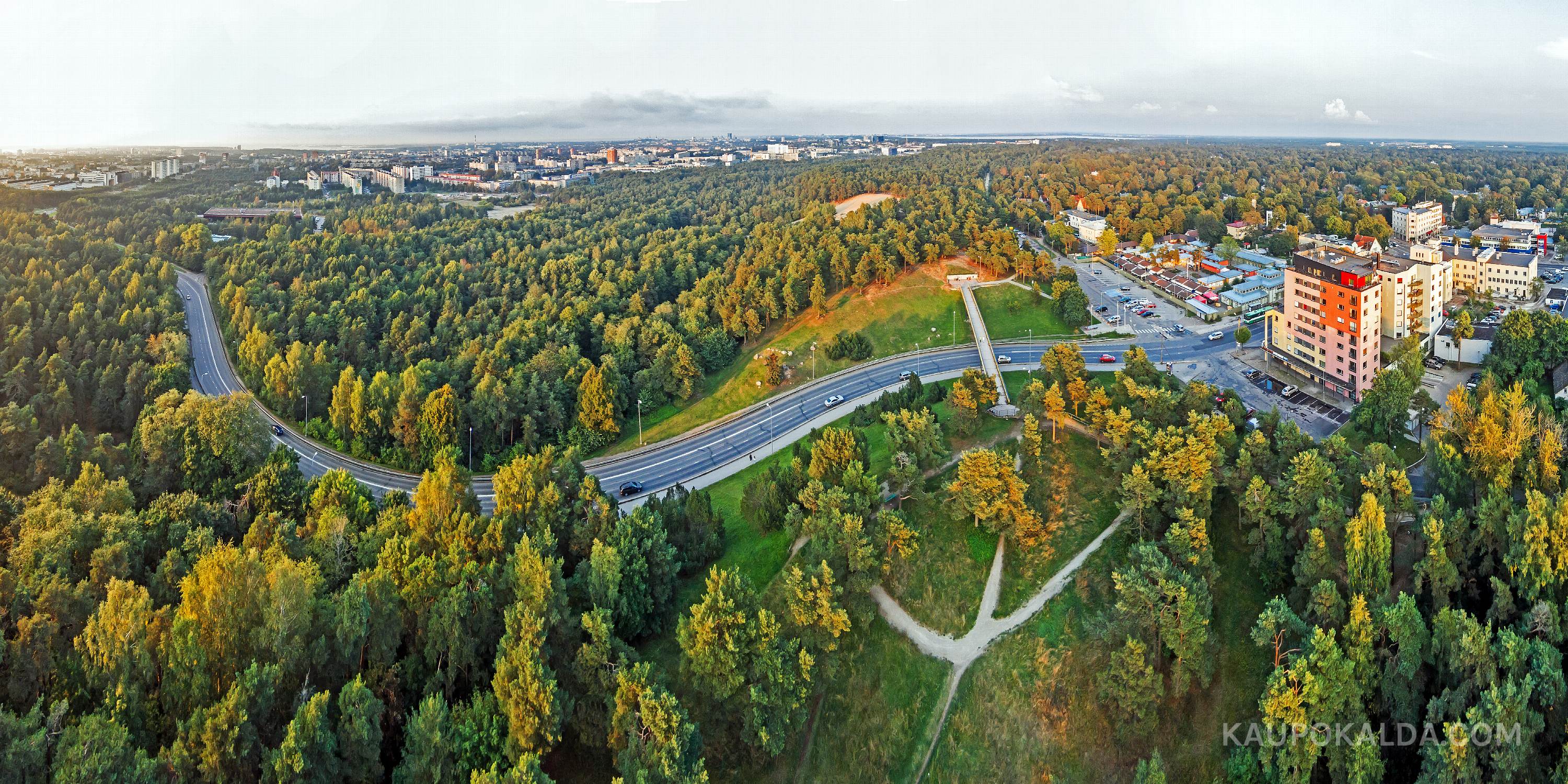 Nõmme mägi ja varesejalgs