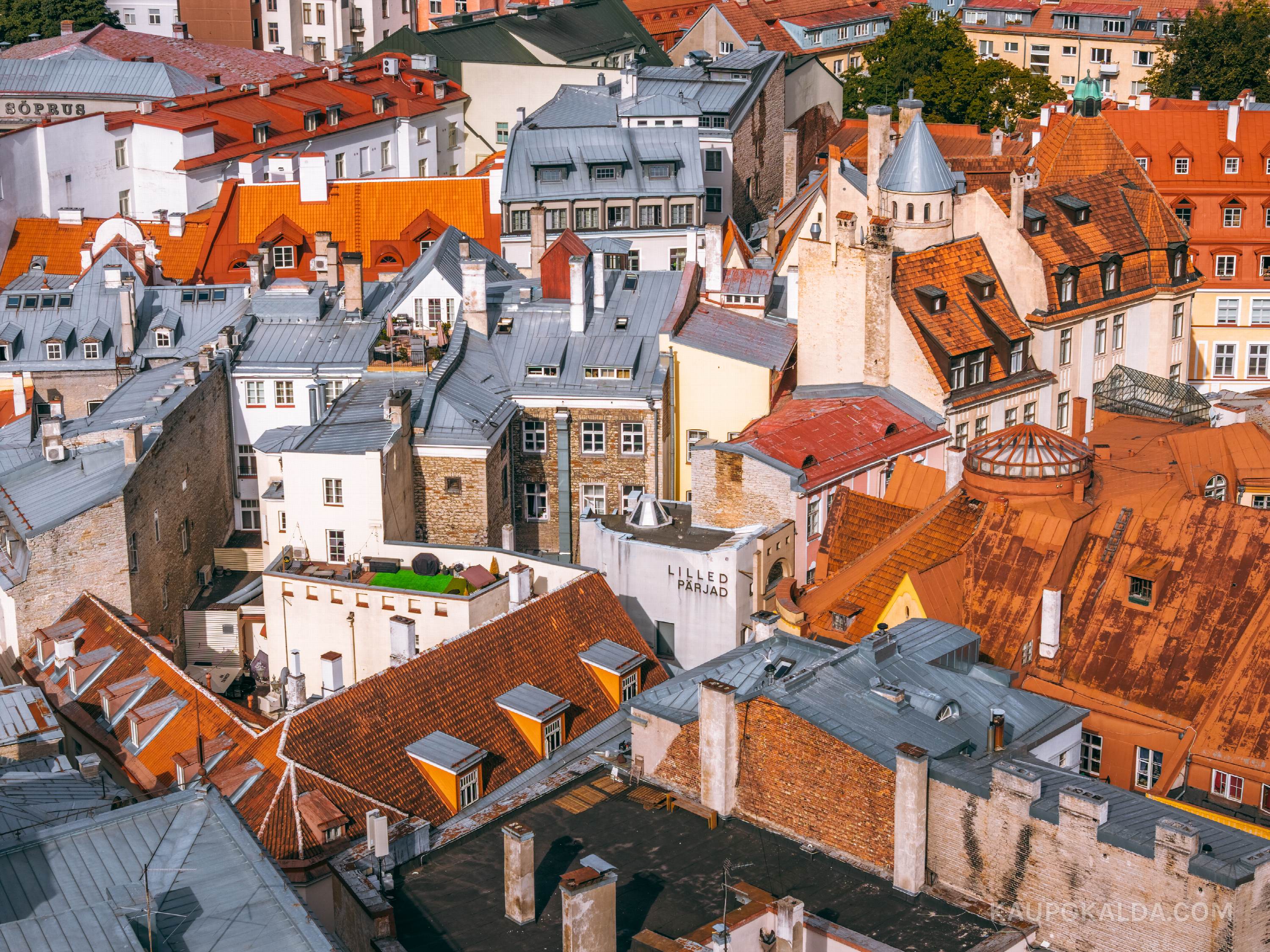 Lilled, pärjad ja roheline terrass