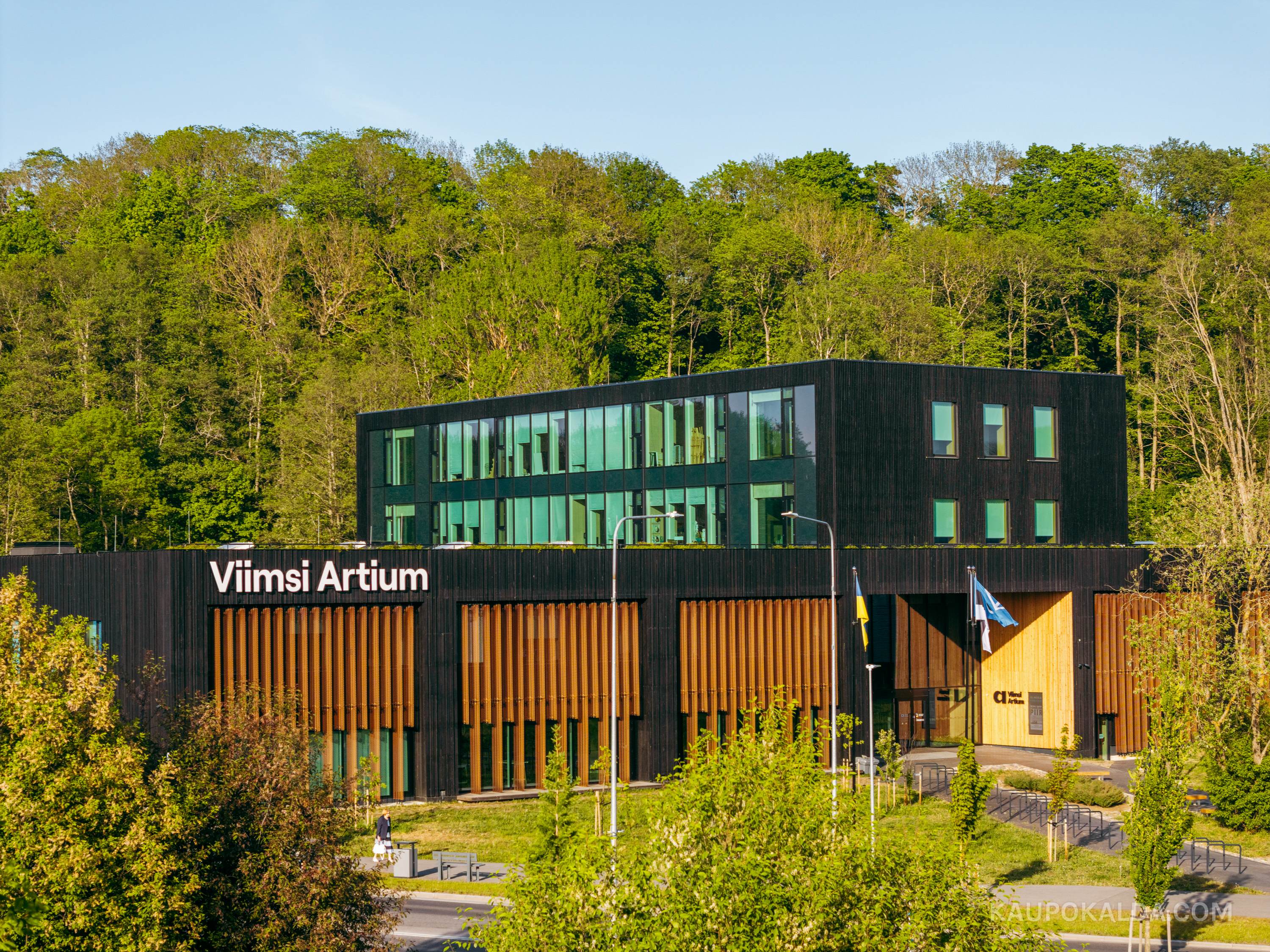 Viimsi Artium
