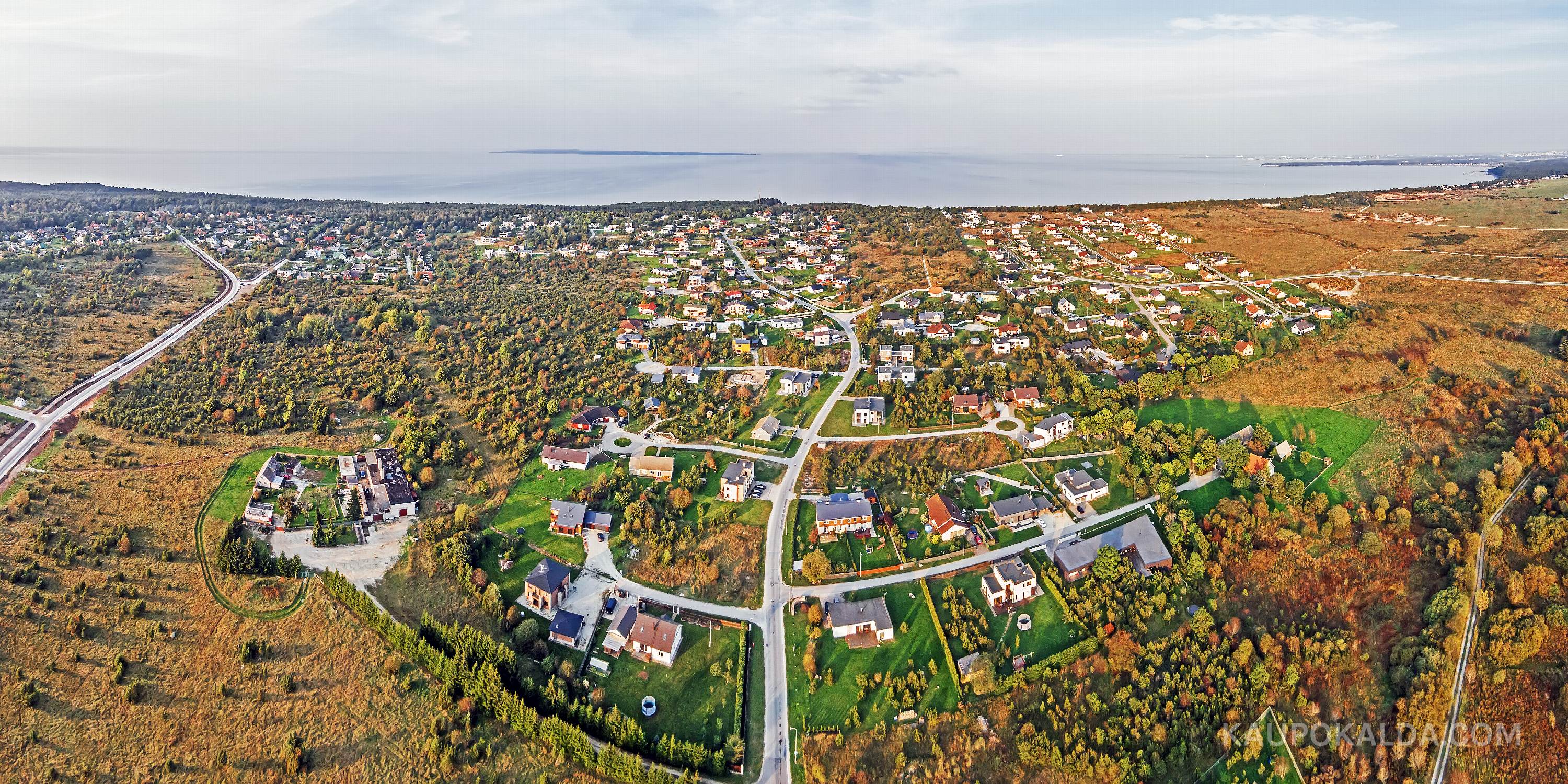 Muraste - küla kui puu