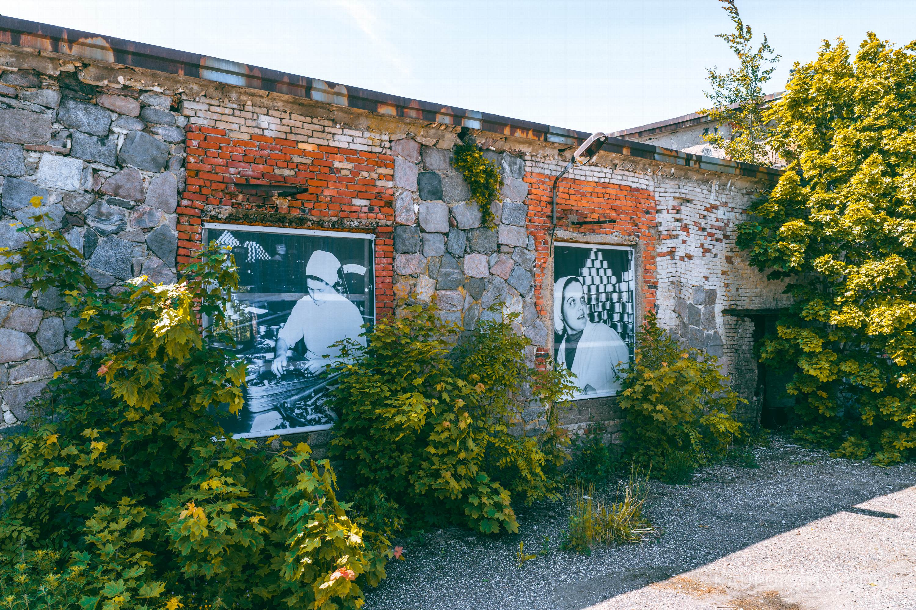 Viscosa Kultuuritehas