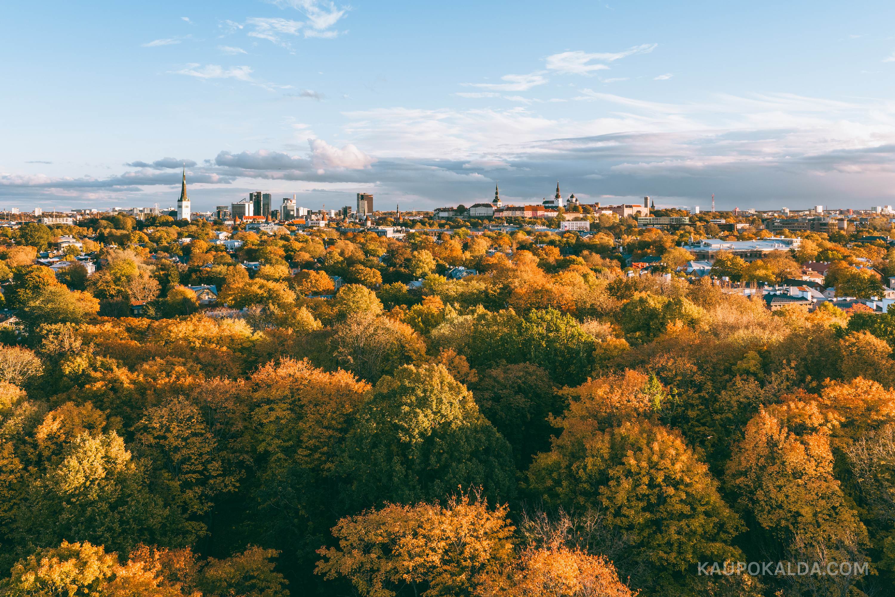 Sügisball Kalamajas