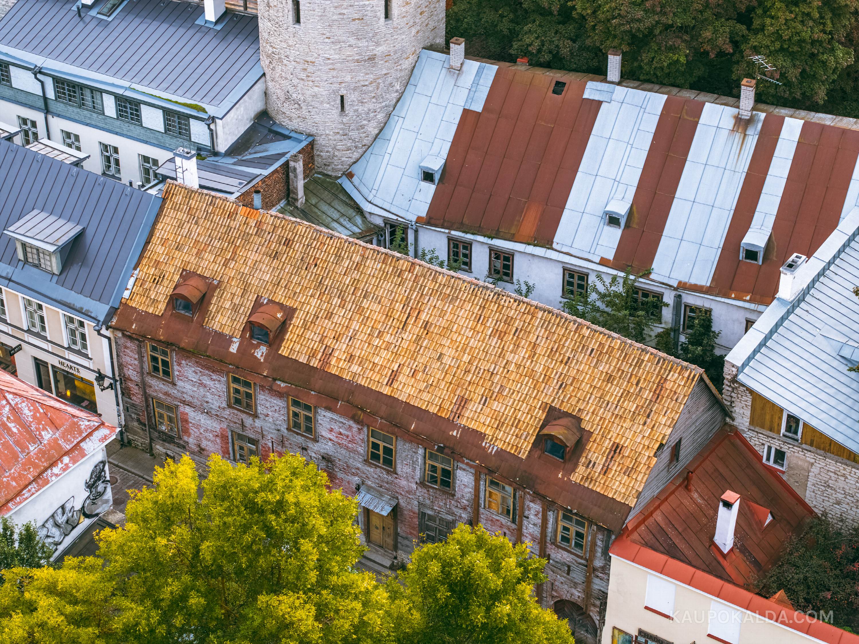 Lipp lipi peal, plekk pleki peal