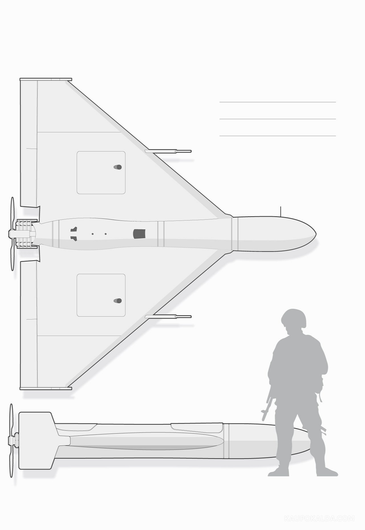 Eestisse kogemata jõudnud militaardroon on üsna suur