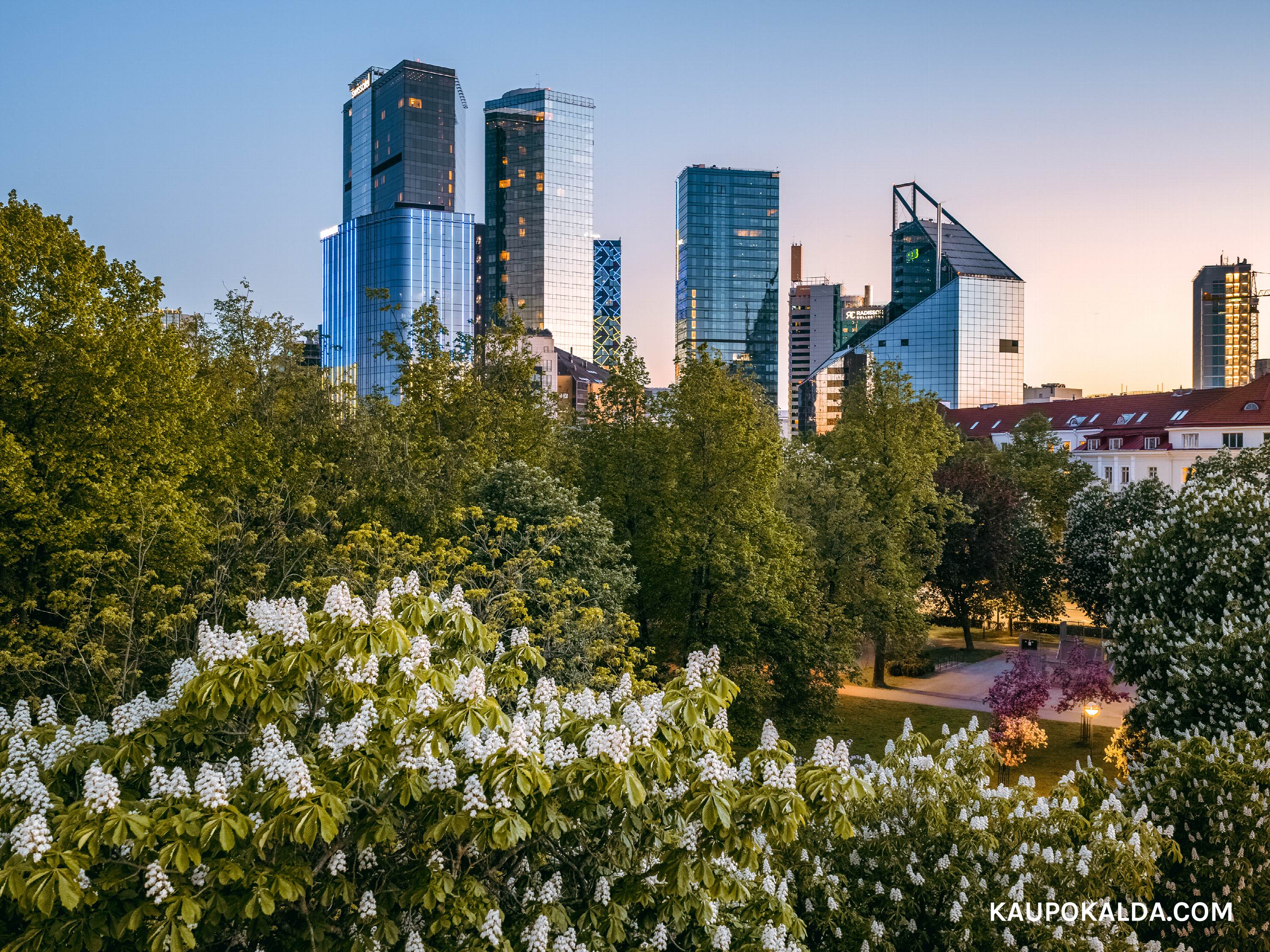 Õitsev Maakri, 2025