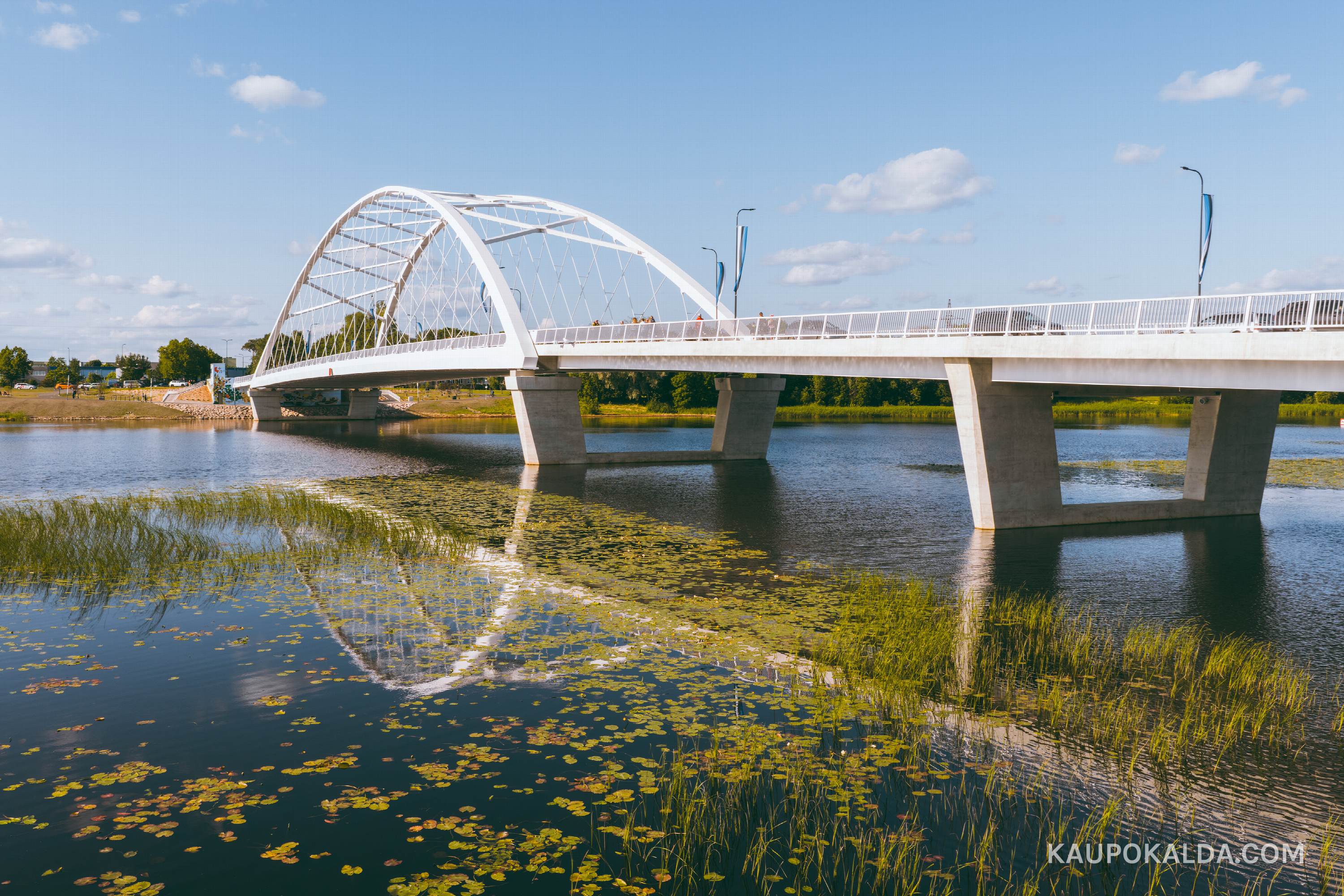 Pärnu uus sild (seeria)