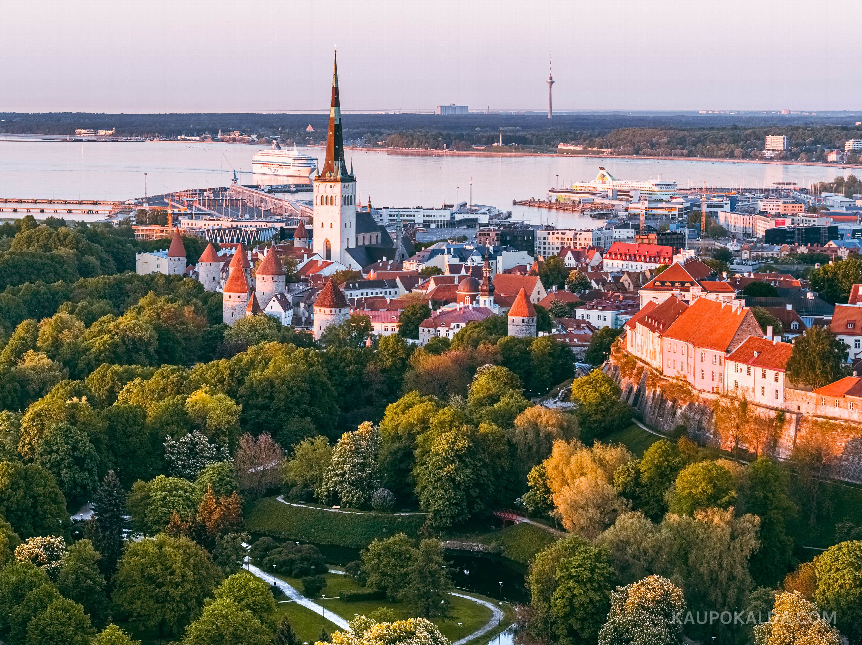 Lopsakas Snelli park