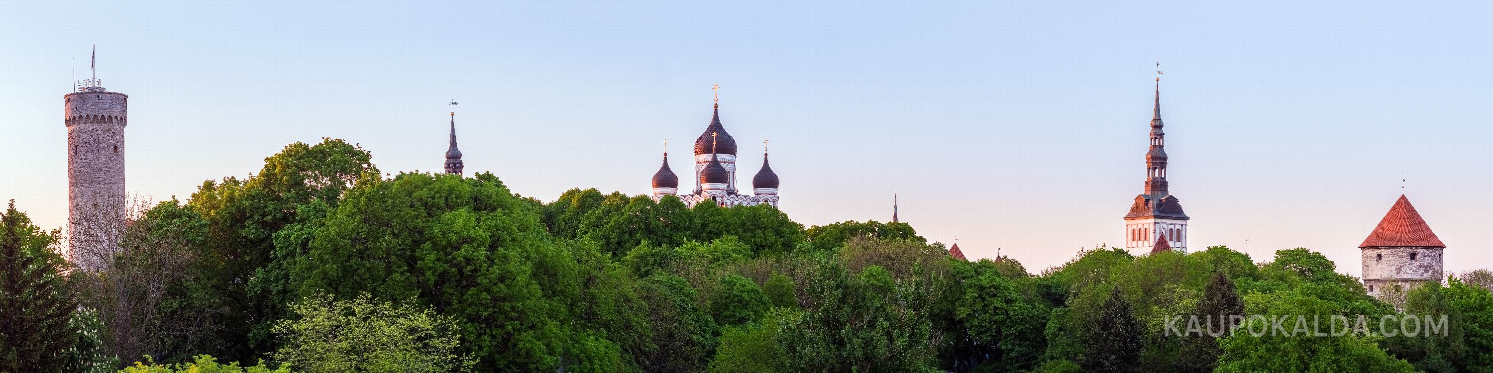 Tornide õhtune rivistus