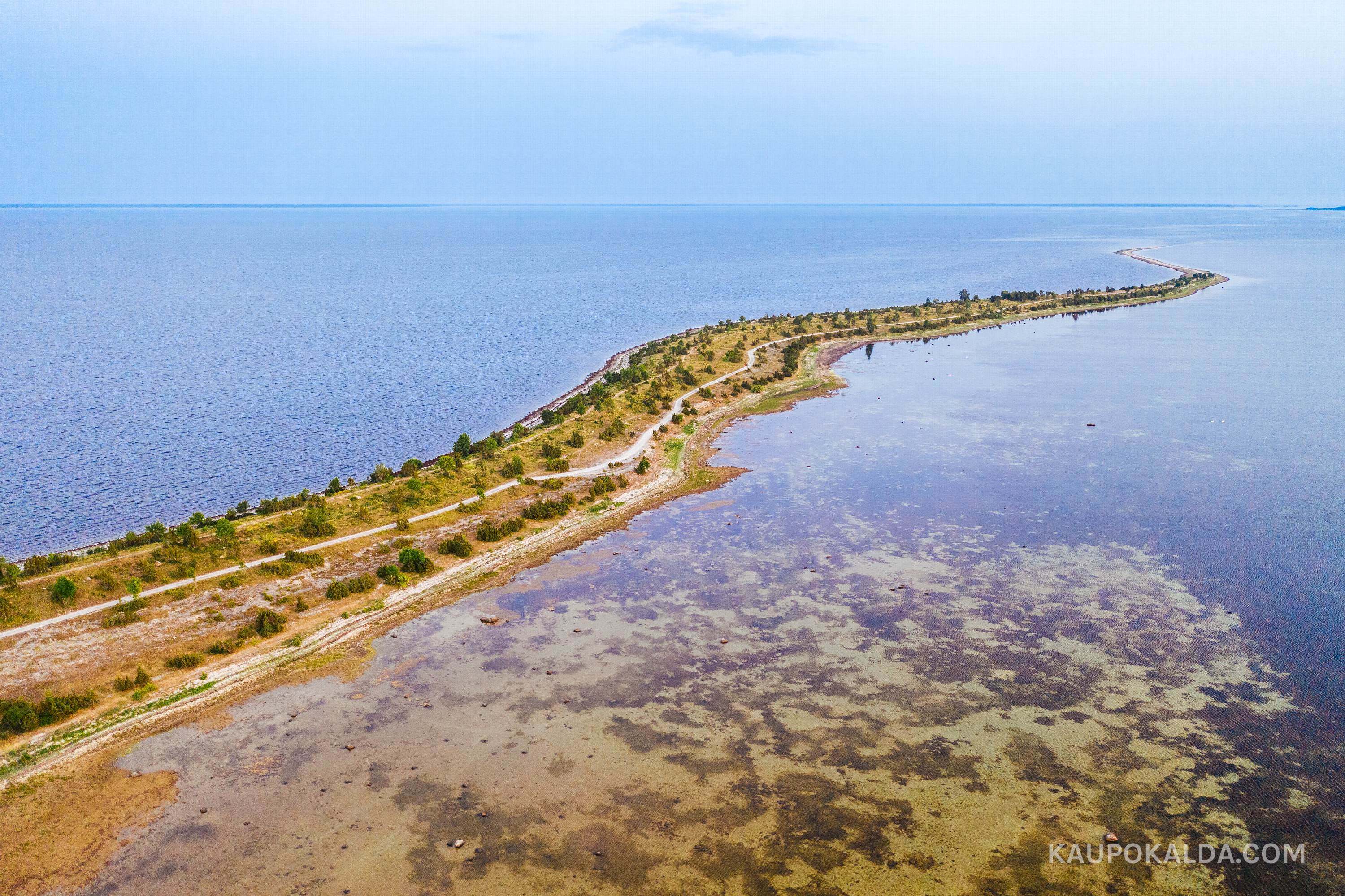 Sääretirp Hiiumaal