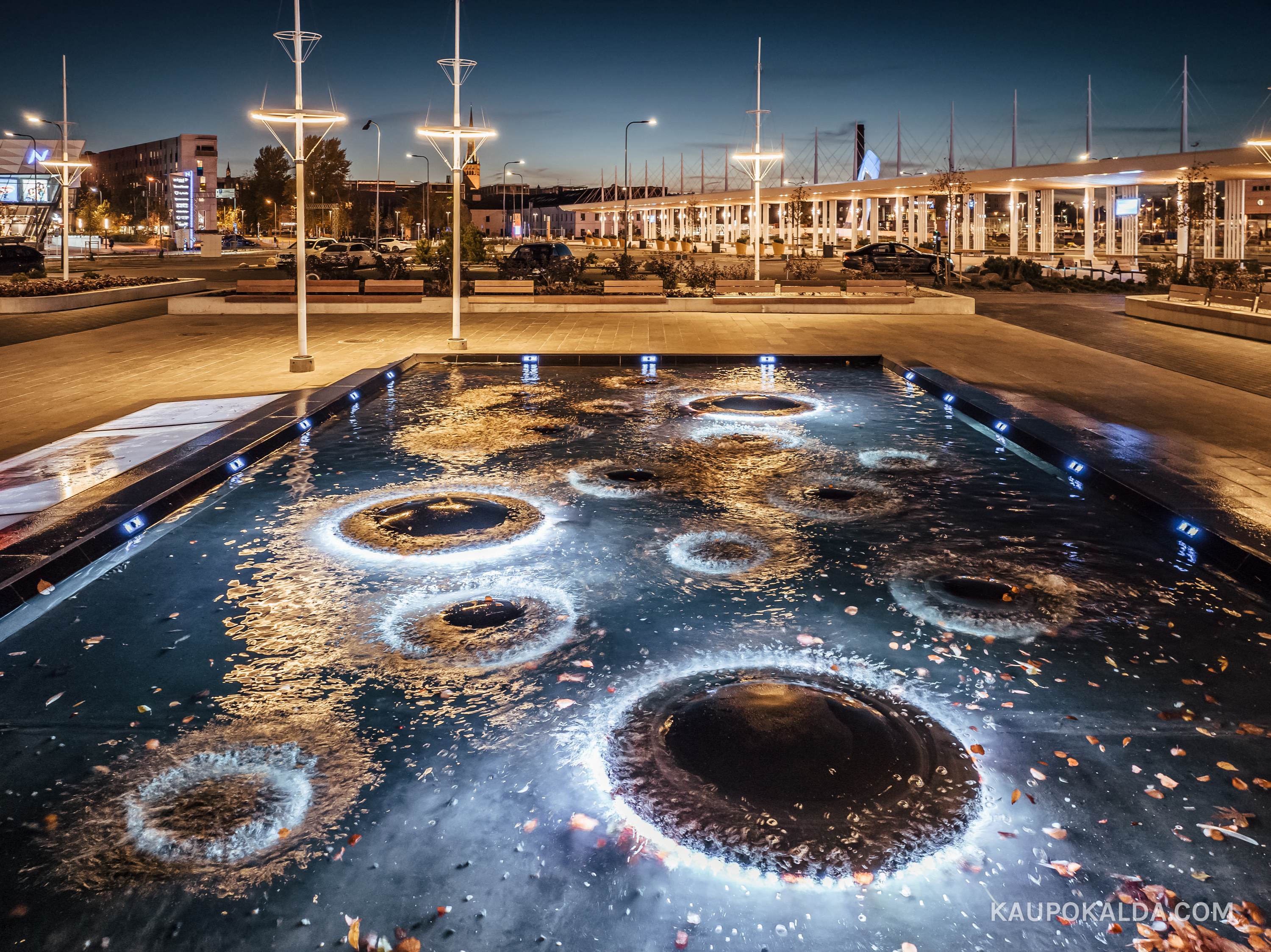 Tallinna Vanasadama D-terminal ja väliala